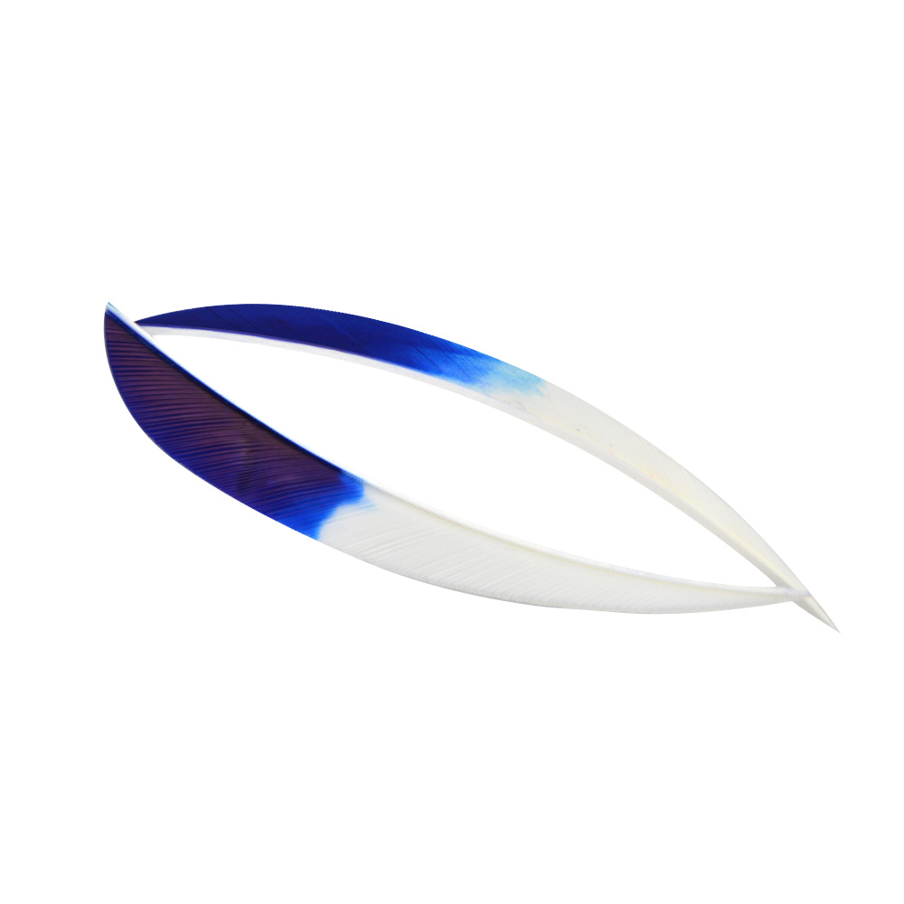  5" Parabolic Feather Fletchings for Arrows (50 Pack) 
