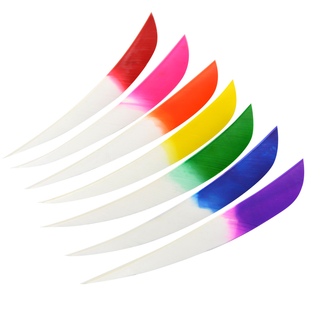  5" Parabolic Feather Fletchings for Arrows (50 Pack) 