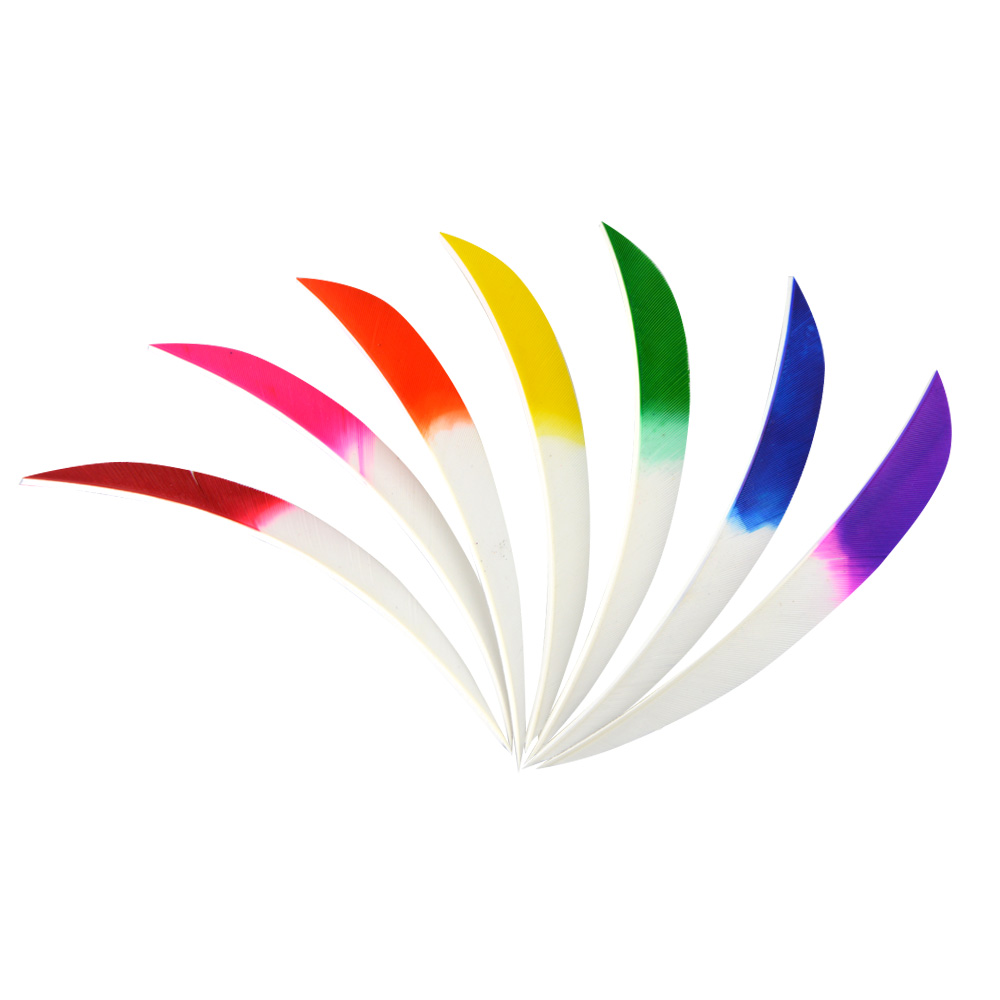  5" Parabolic Feather Fletchings for Arrows (50 Pack) 