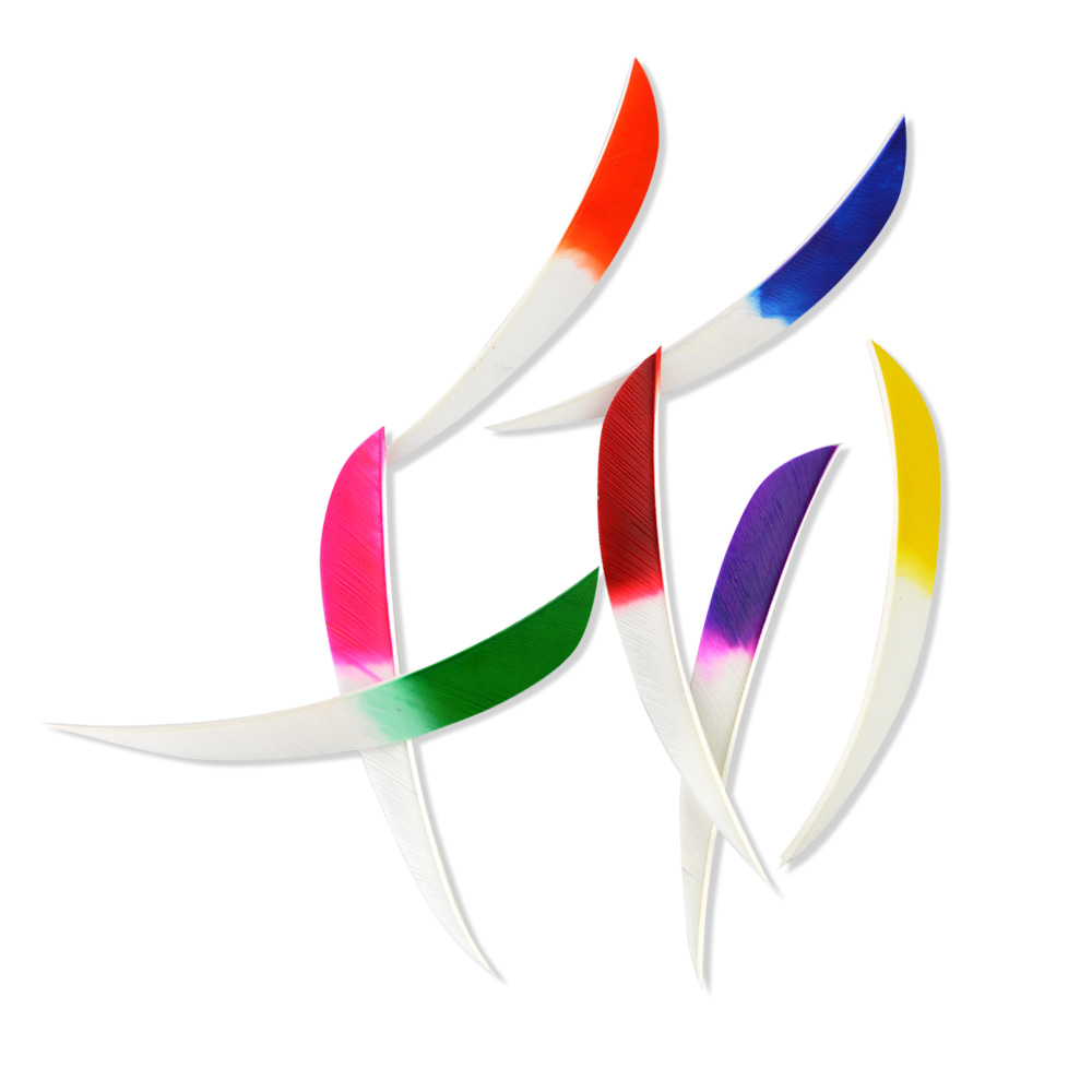  5" Parabolic Feather Fletchings for Arrows (50 Pack) 