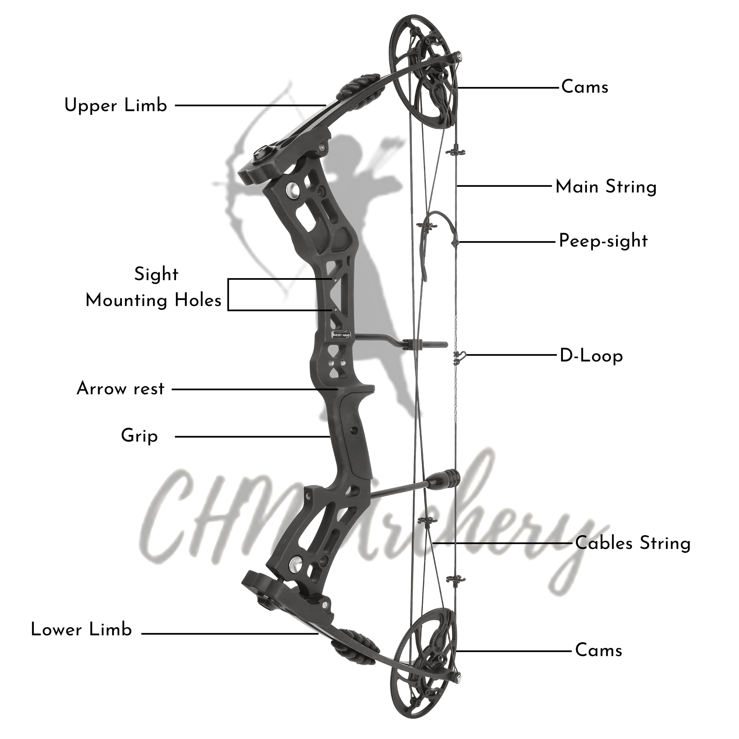 Compound 30-70lbs Adjustable 75% Let-off Professional Fishing Kit
