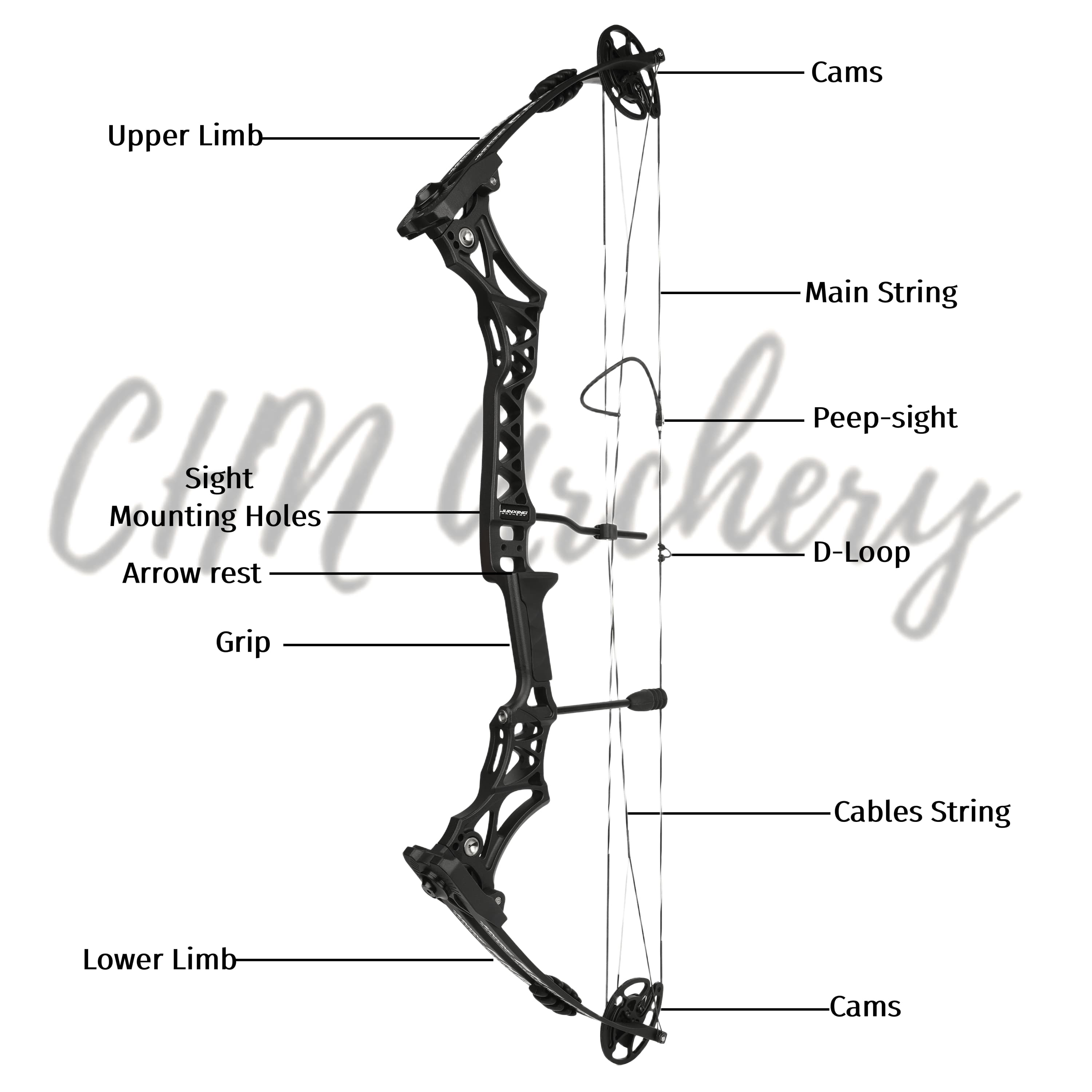 40" Compound Bow Set 30-55lbs Adjustable Pro Training Setup