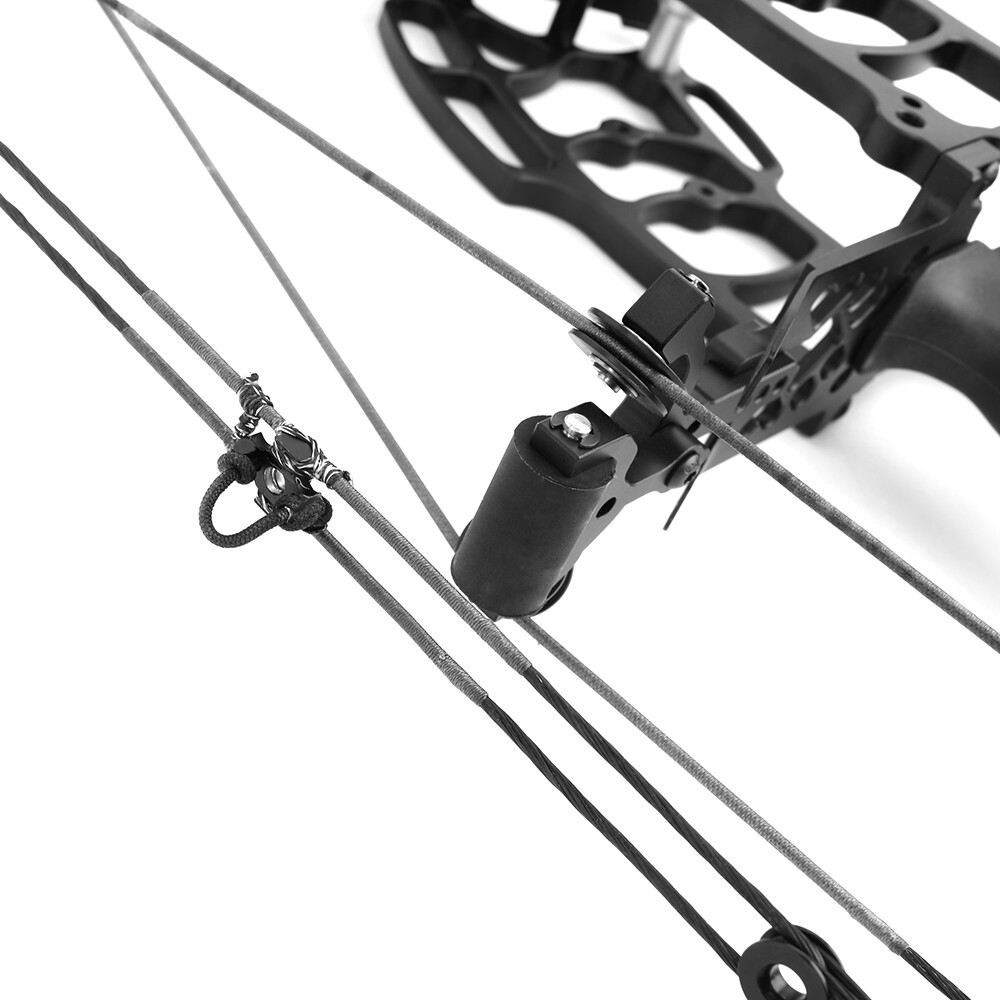 Compound Bow Short Axis Dual-use 40-65lbs Steel Ball Arrow Hunting Fishing RH LH