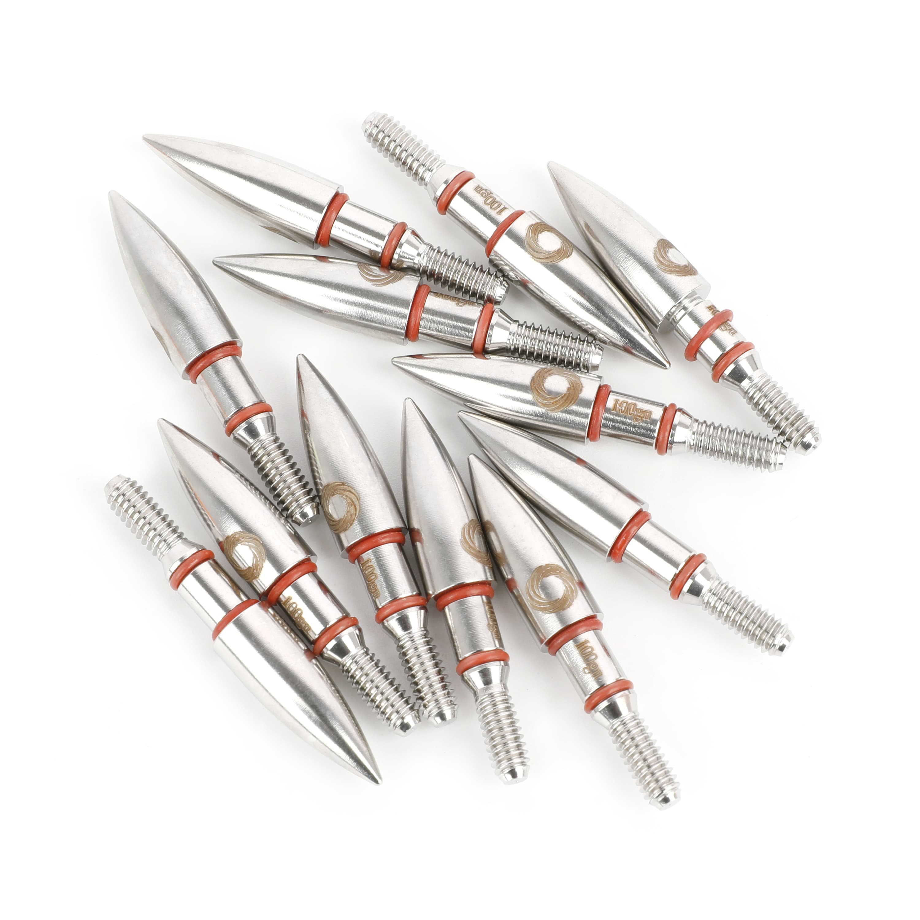 12x Arrowheads 100gr Archery Hunting Tips Recurve Compound Bow