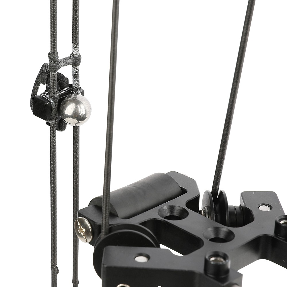Nighthawk Archery Steel Ball Dual-use Compound Bow 40-65lbs Hunt RH LH