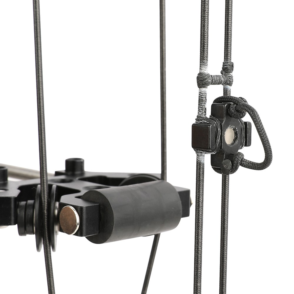 Nighthawk Archery Steel Ball Dual-use Compound Bow 40-65lbs Hunt RH LH