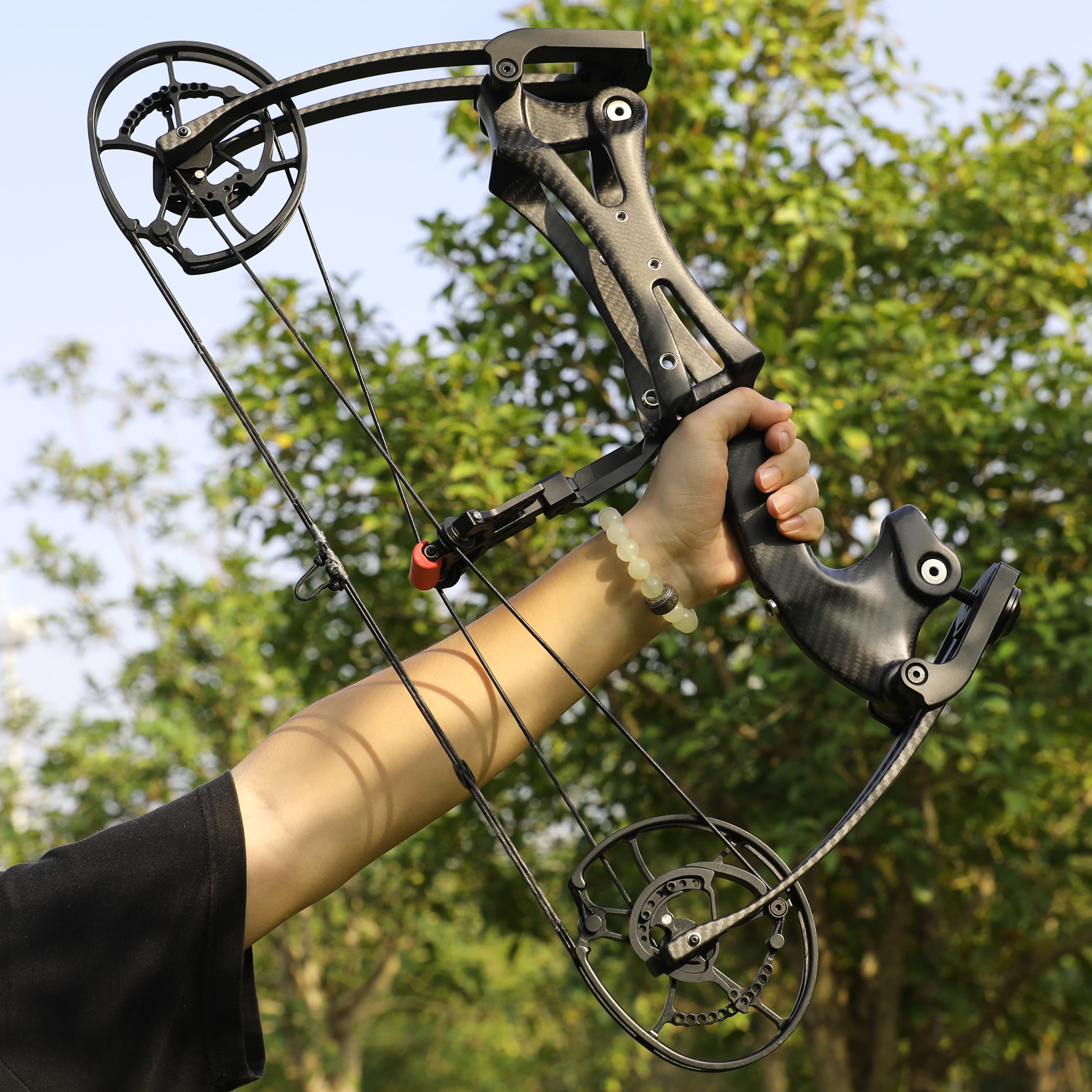 ALIEN Short Axis Ball Bearing Bow Compound Bow For Small Game CHN Archery   12 (1) 20 