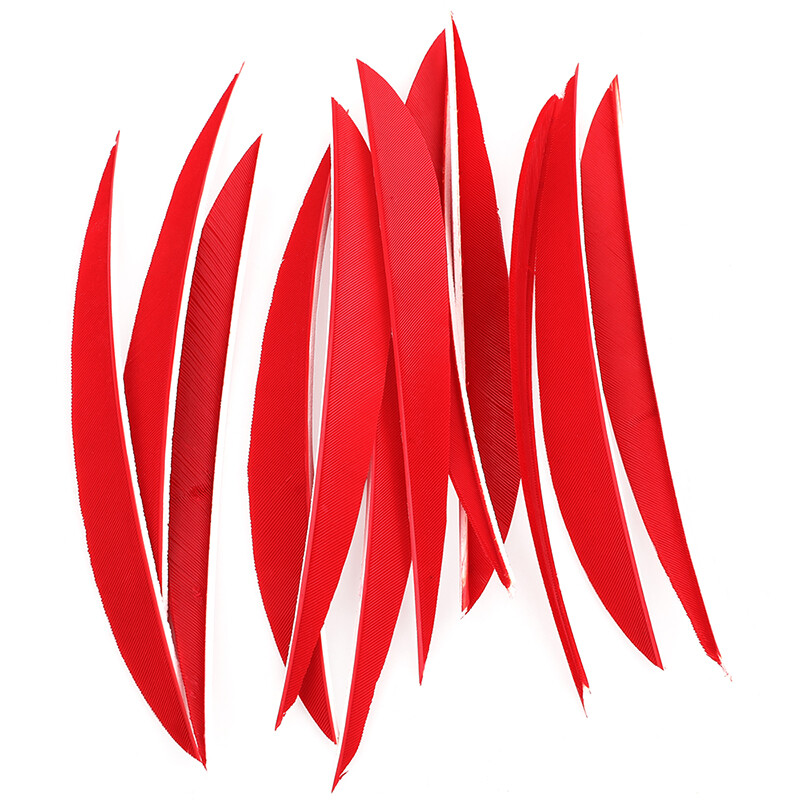 Turkey Arrow Feathers 5 Inch Natural Traditional Fletching  (50 Pack)