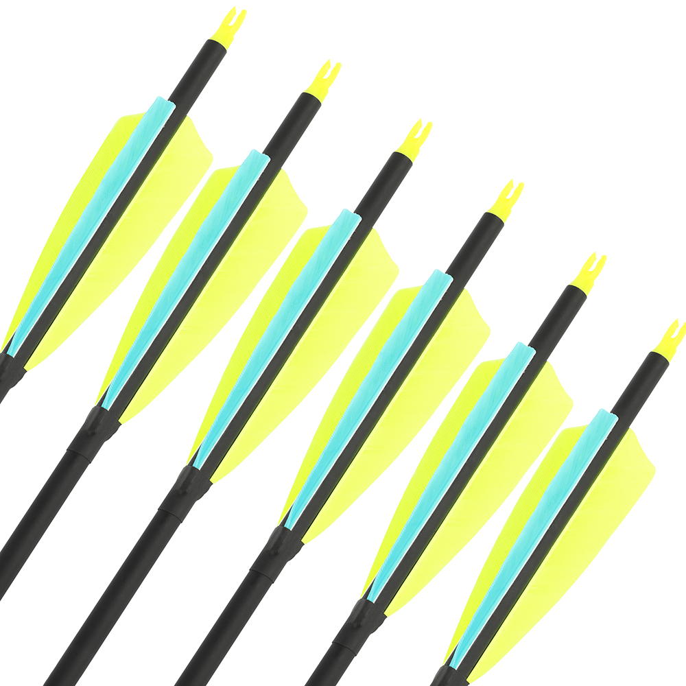SHARROW 30" Carbon Arrows Takedown for Beginners Spine 500(12 Pack)