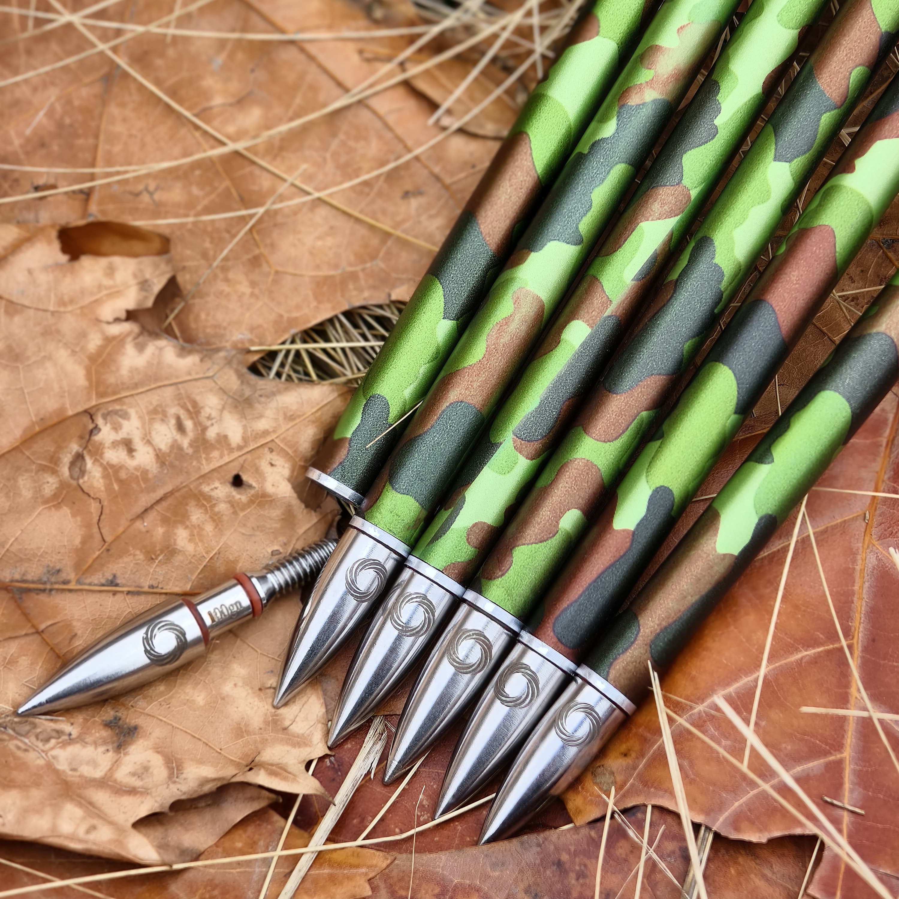 12x Arrowheads 100gr Archery Hunting Tips Recurve Compound Bow