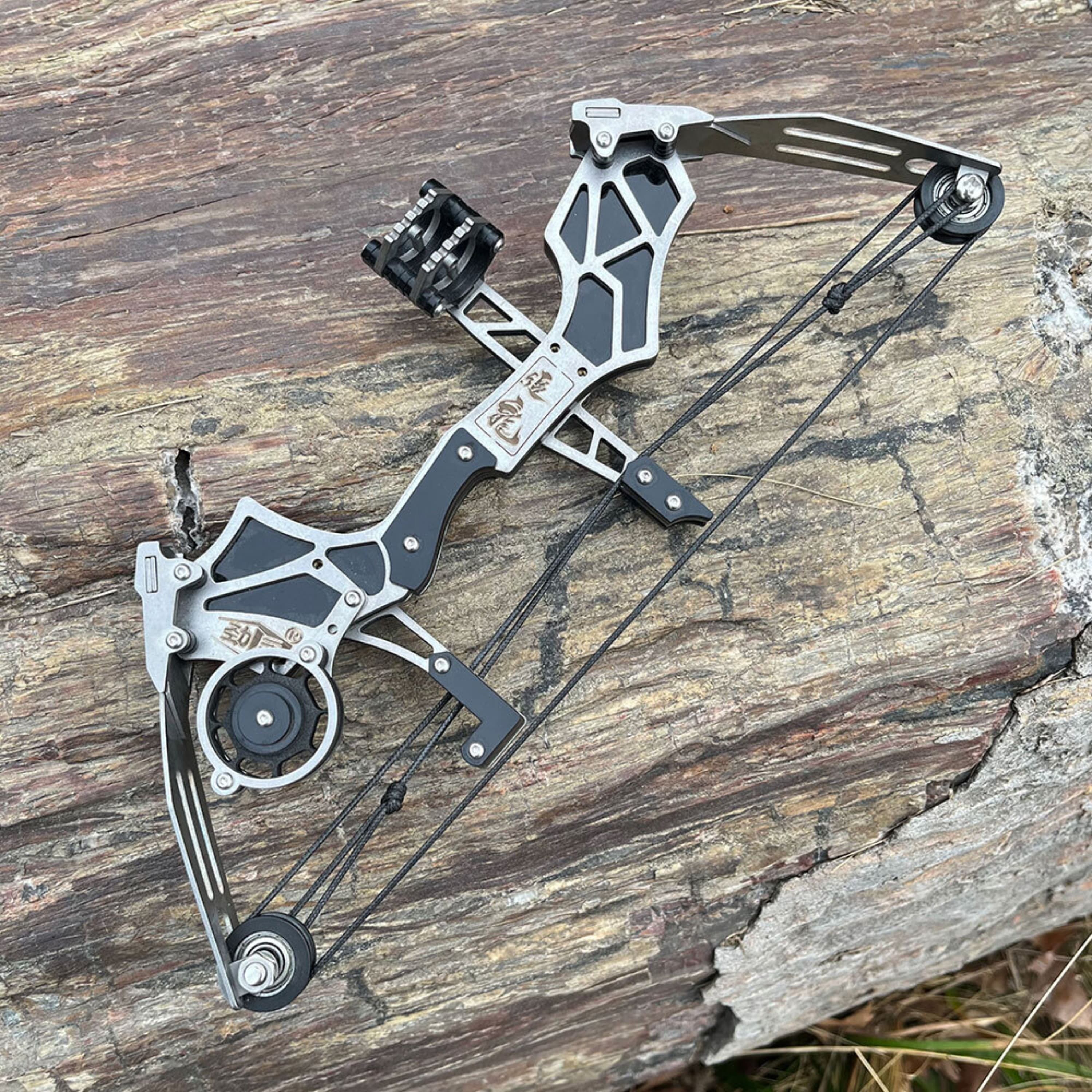 Mini Compound Bow Set & Holiday Gift Toy 12 lbs