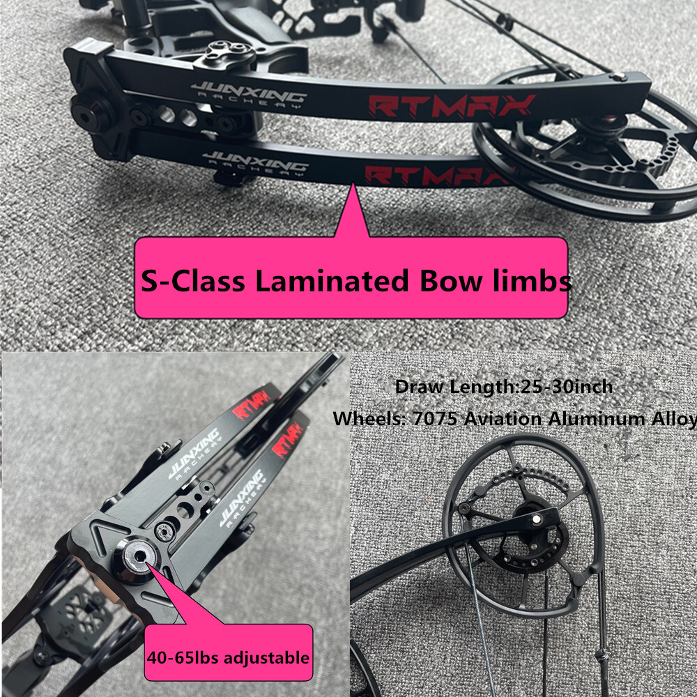 Compound Bow Short Axis Dual-use 40-65lbs Steel Ball Arrow Hunting Fishing RH LH