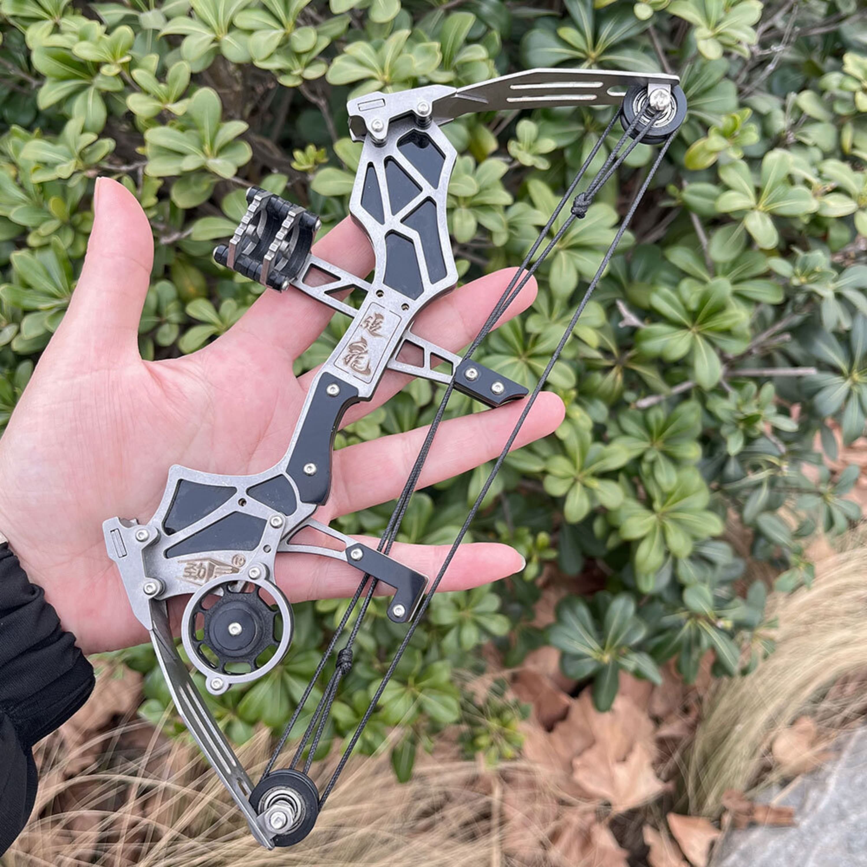 Mini Compound Bow Set & Holiday Gift Toy 12 lbs