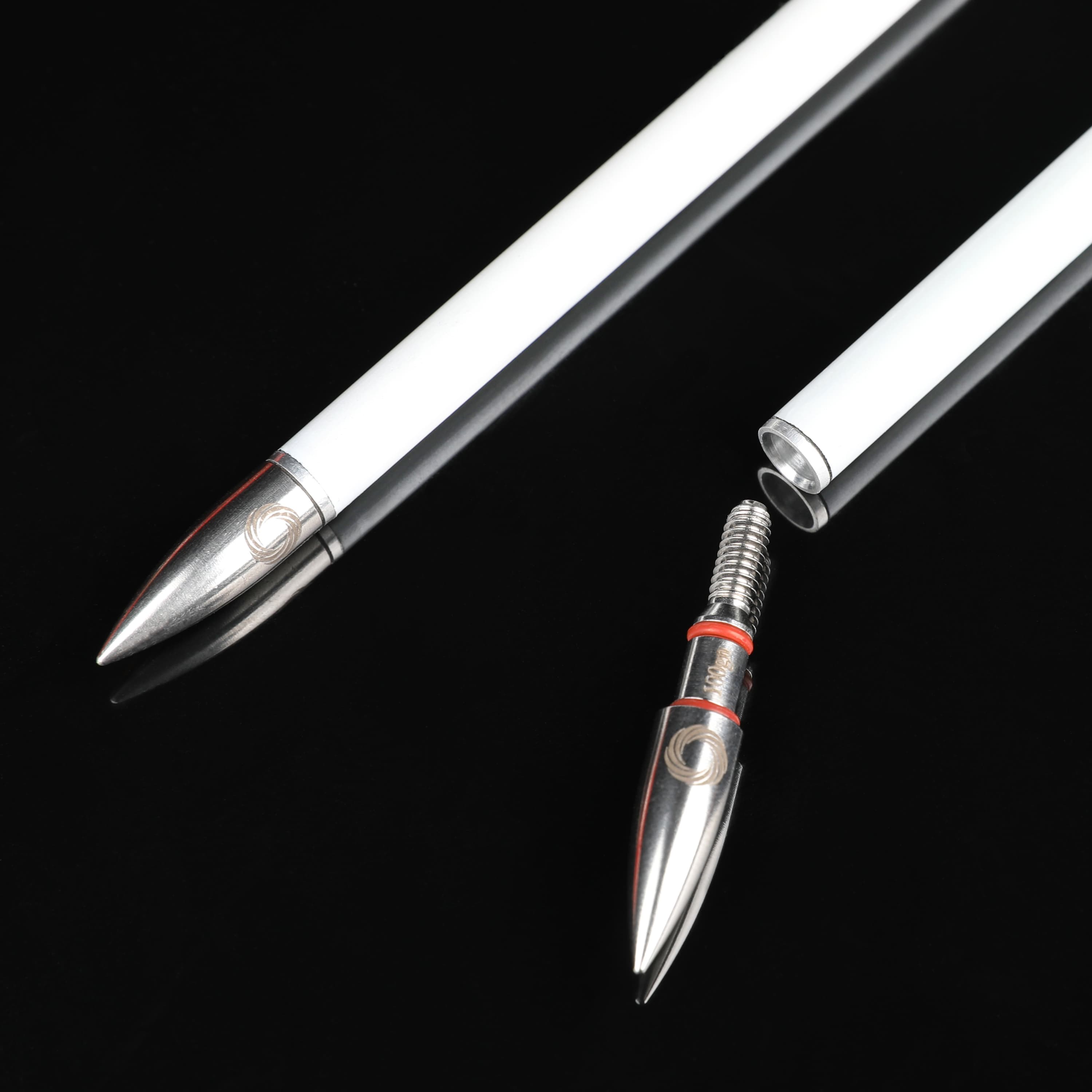 12x Arrowheads 100gr Archery Hunting Tips Recurve Compound Bow