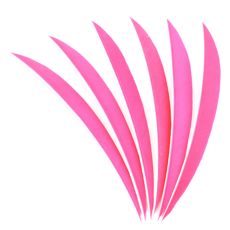 Turkey Arrow Feathers 5 Inch Natural Traditional Fletching  (50 Pack)