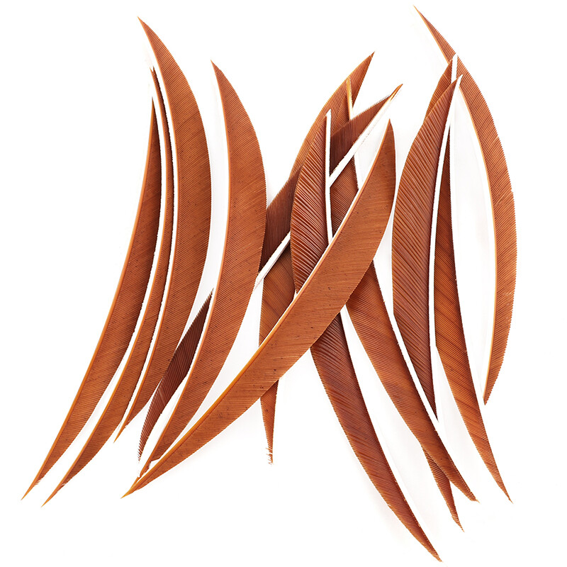 Turkey Arrow Feathers 5 Inch Natural Traditional Fletching  (50 Pack)