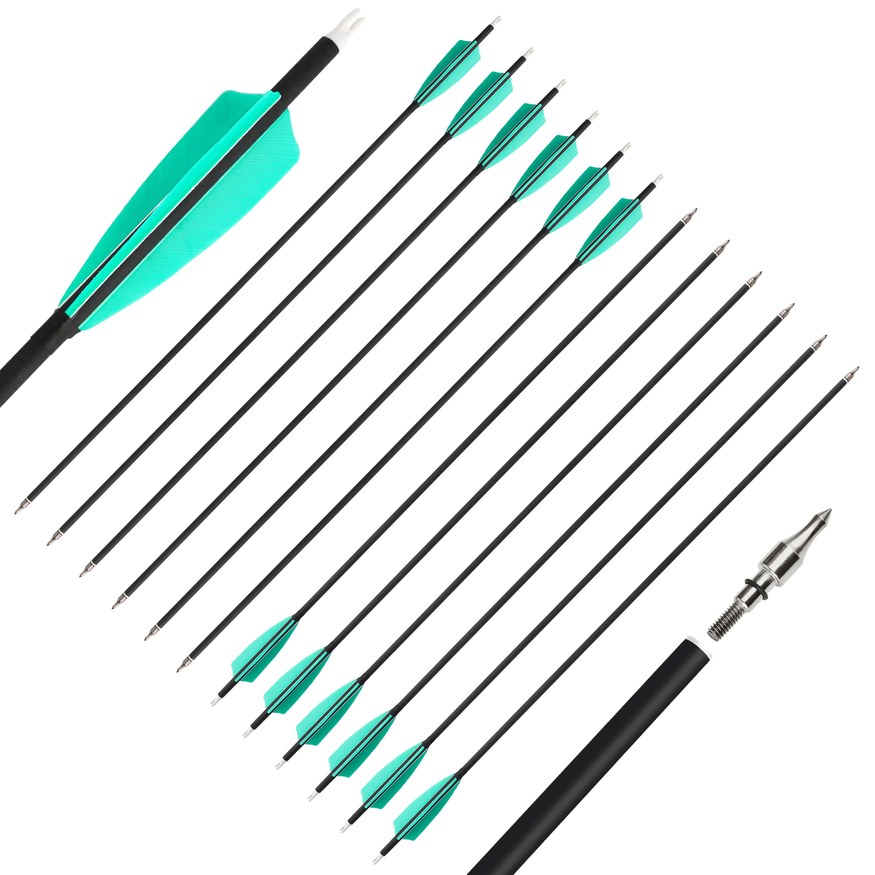 SHARROW Feather Fletched Arrows for Recurve Bow Spine 500 (12 Pack)-CHN Archery