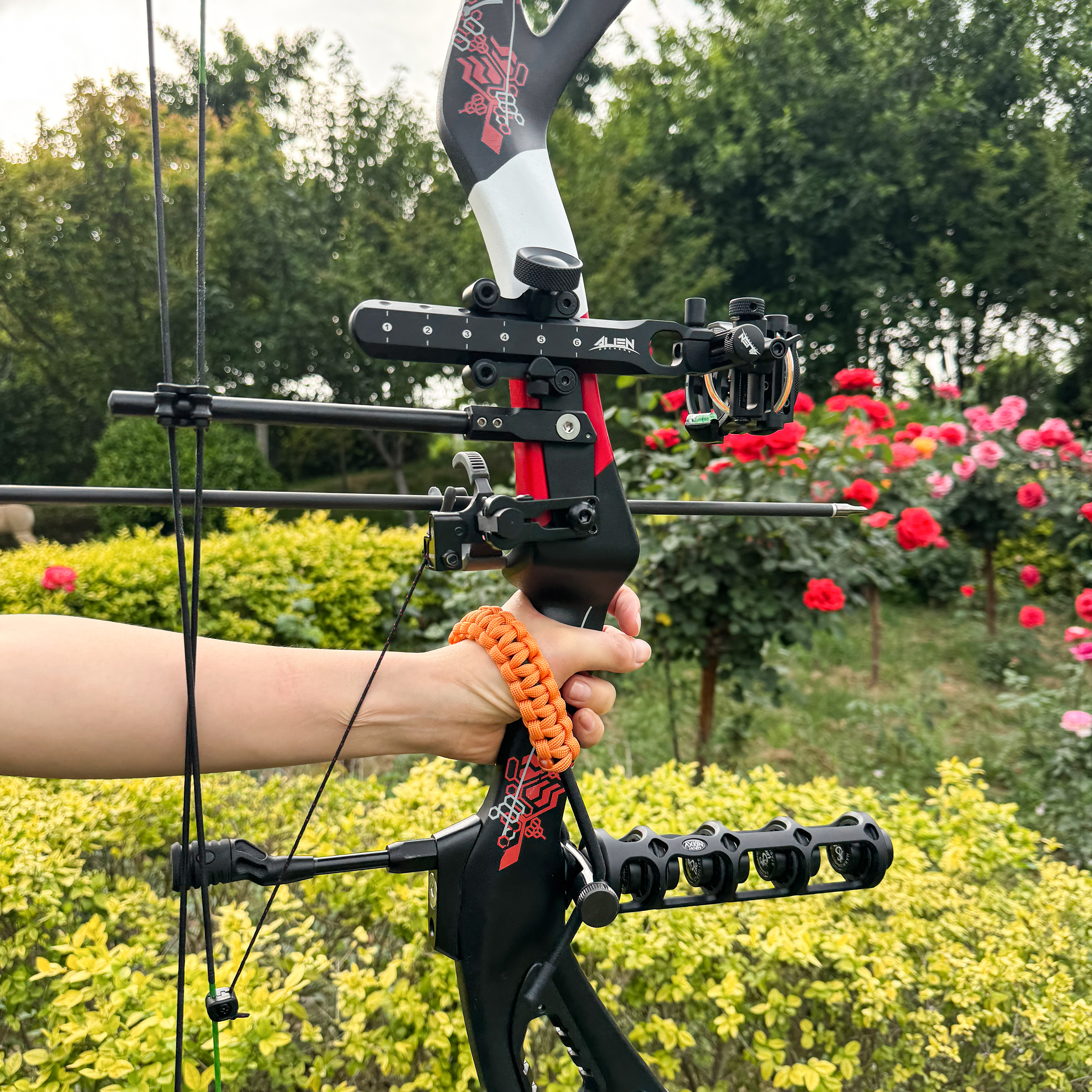 SHENGSUAN DAWN X6 Carbon Compound Hunting Bow 0-70 lbs