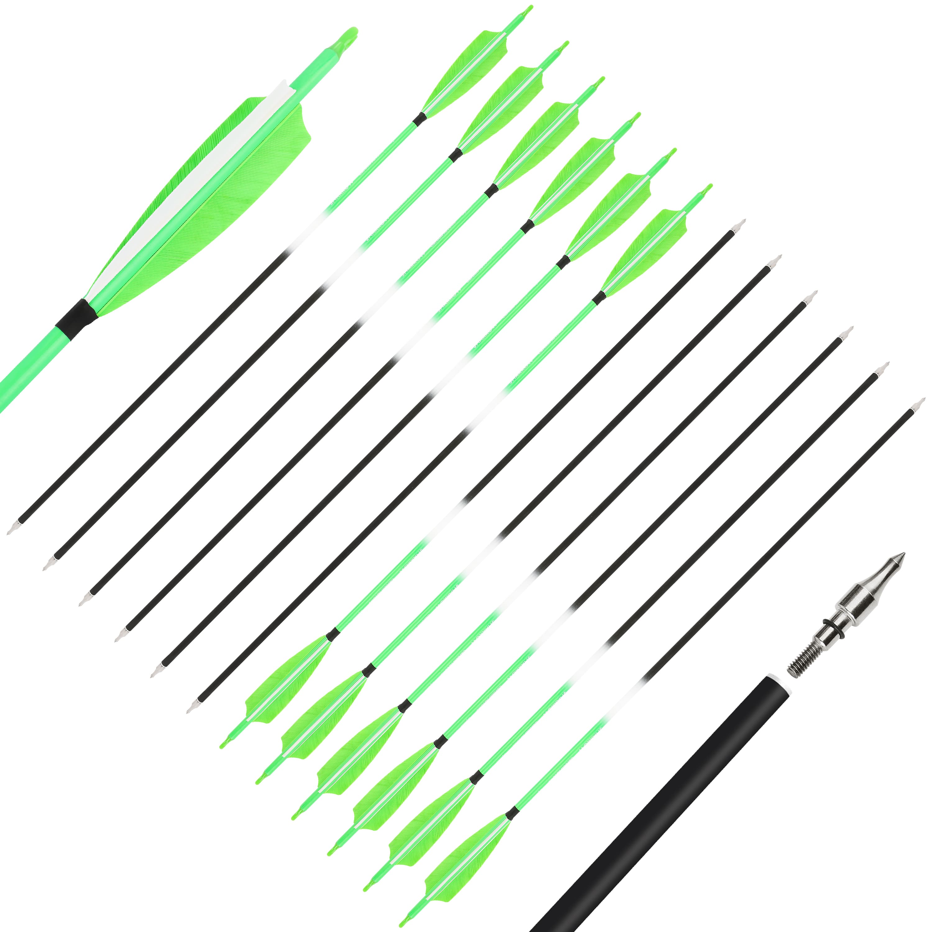 SHARROW Archery 30" Feather Fletched Arrows Carbon Spine 500 (12 Pack)-CHN Archery