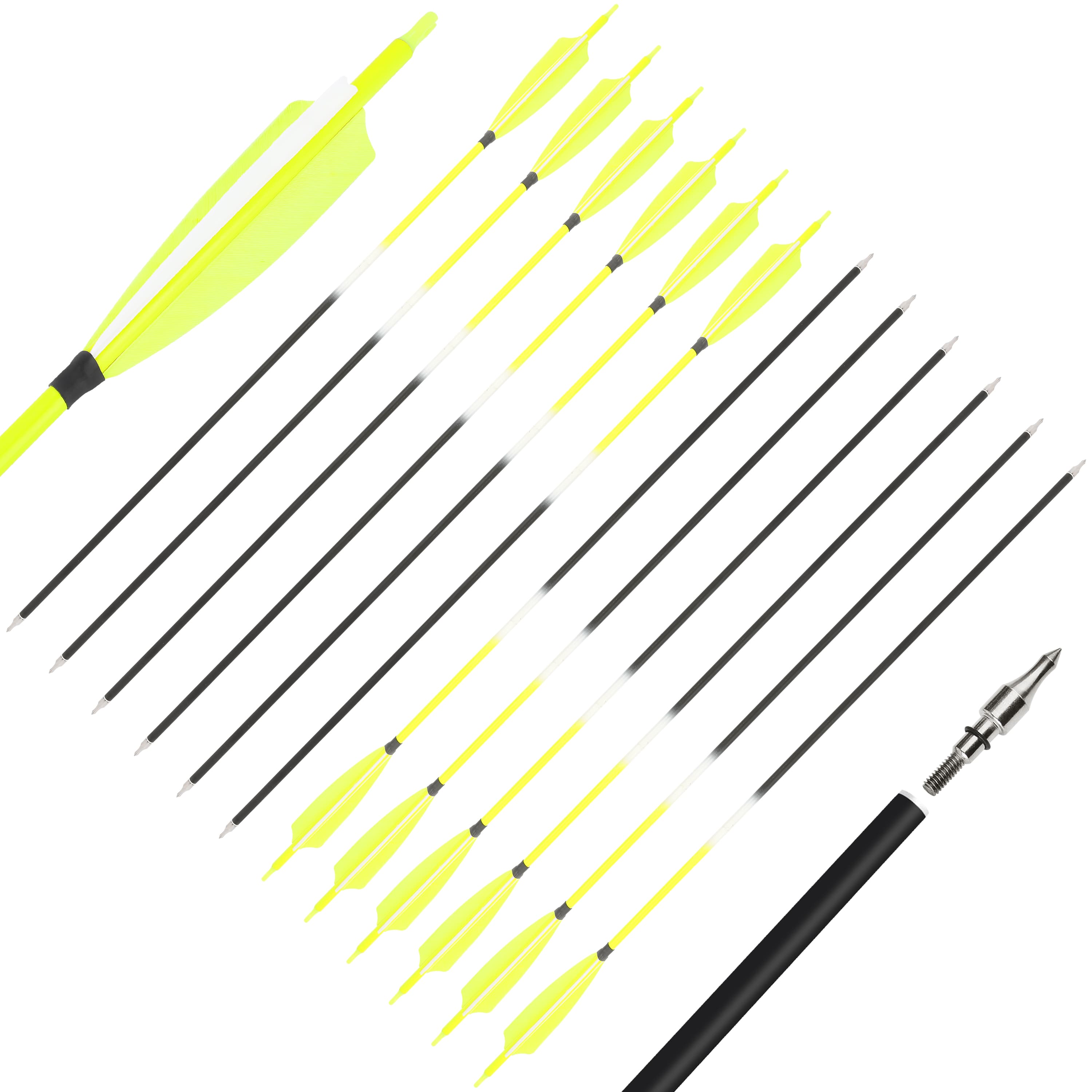 SHARROW Archery 30" Feather Fletched Arrows Carbon Spine 500 (12 Pack)-CHN Archery