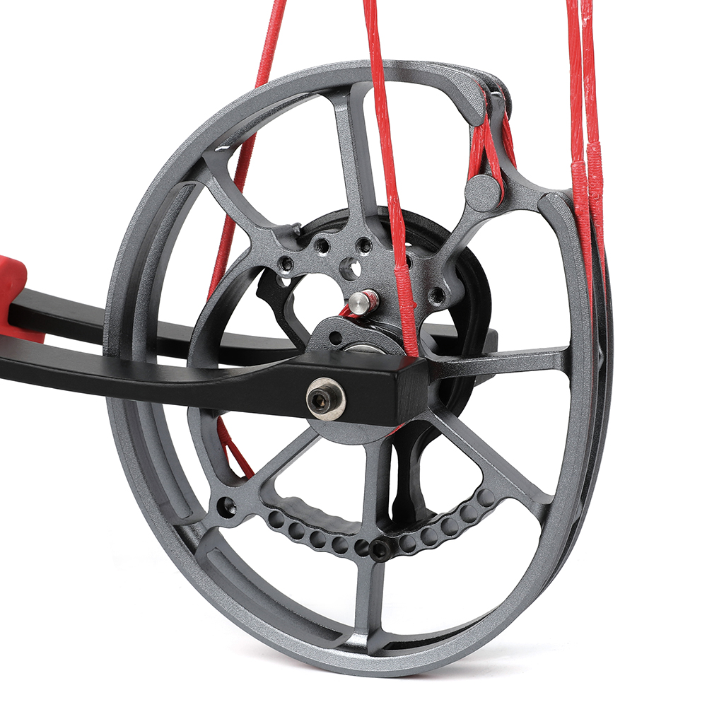 Short Axis Ball Bearing Bow Compound Bow for Small Game 30-70lbs