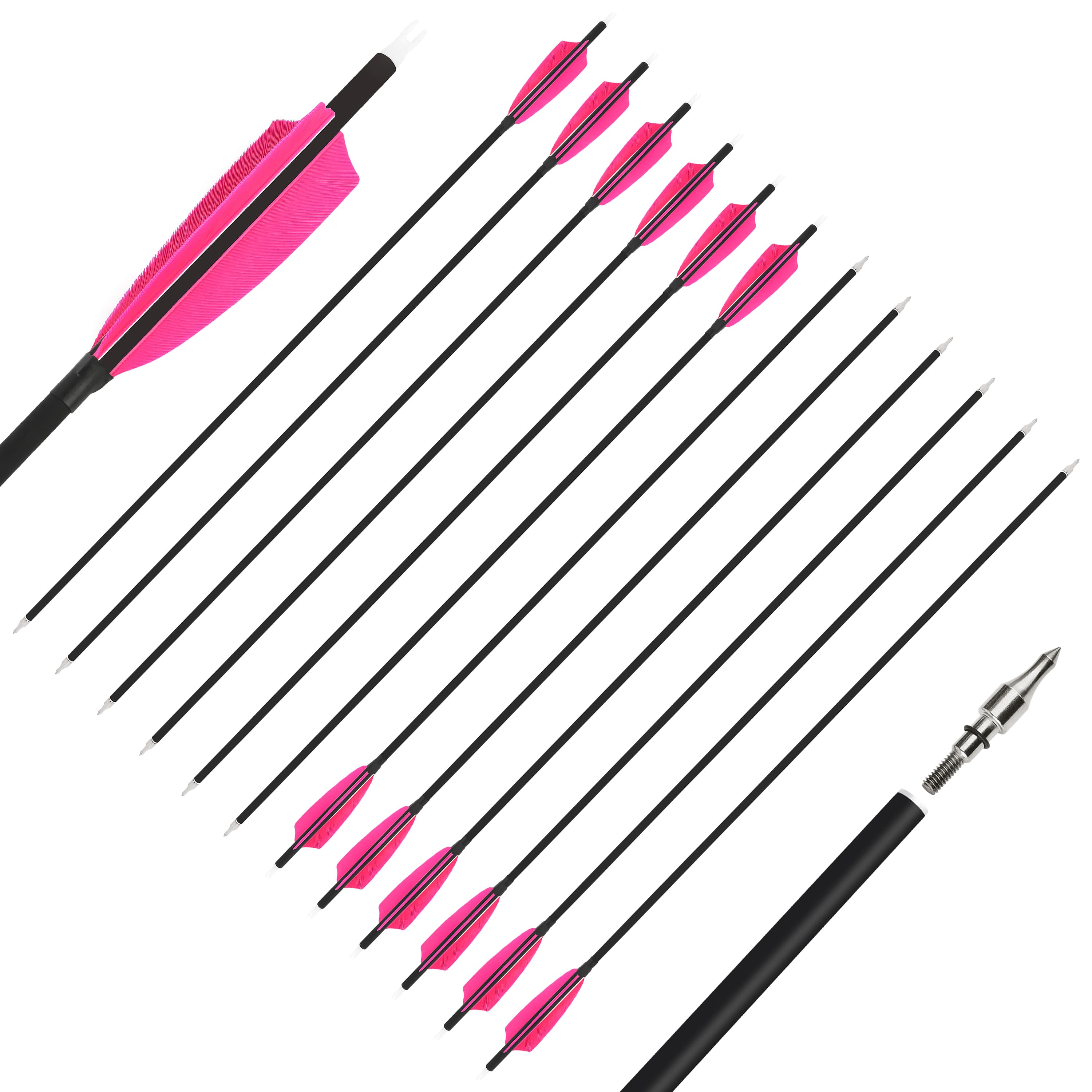 SHARROW Feather Fletched Arrows for Recurve Bow Spine 500 (12 Pack)-CHN Archery