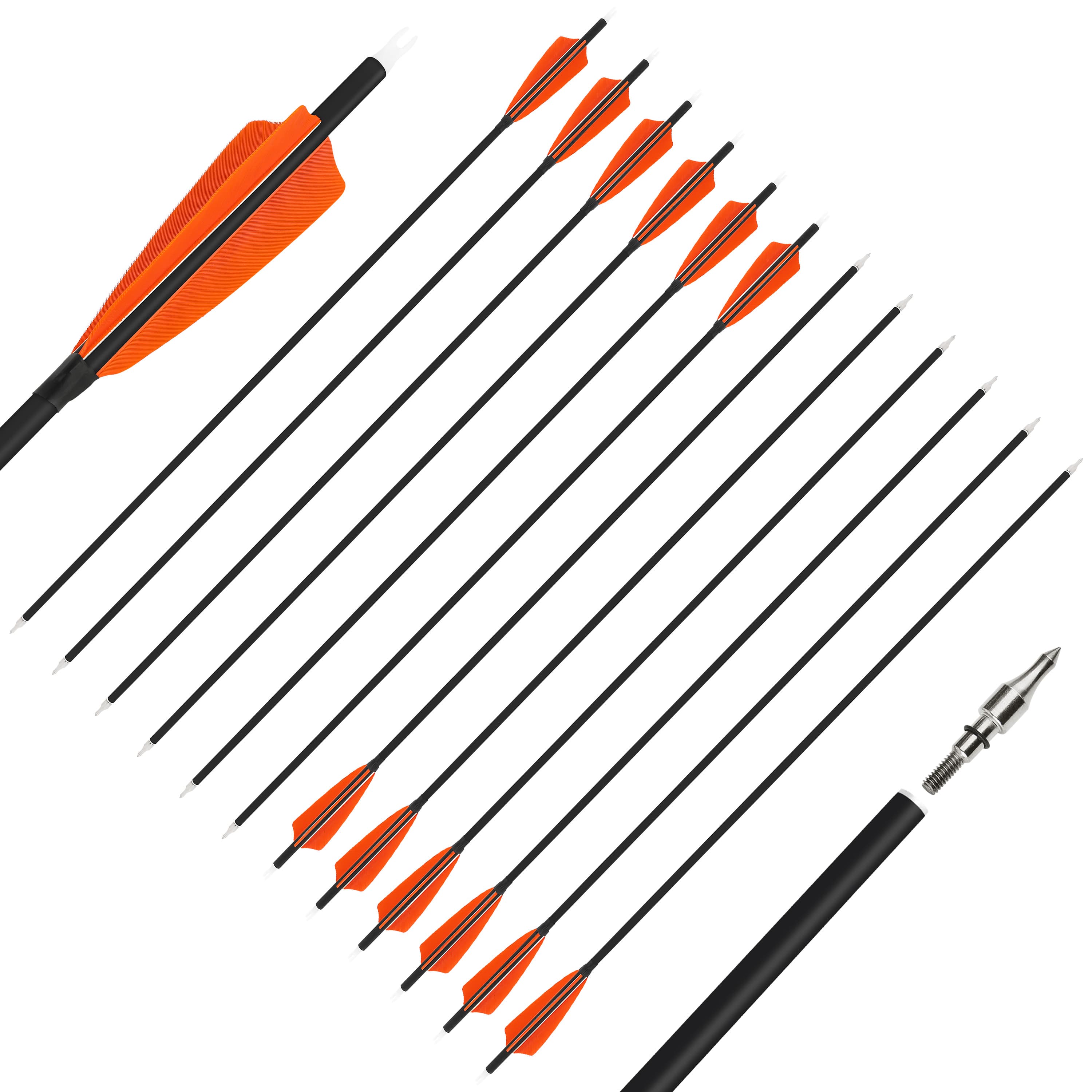 SHARROW Feather Fletched Arrows for Recurve Bow Spine 500 (12 Pack)-CHN Archery