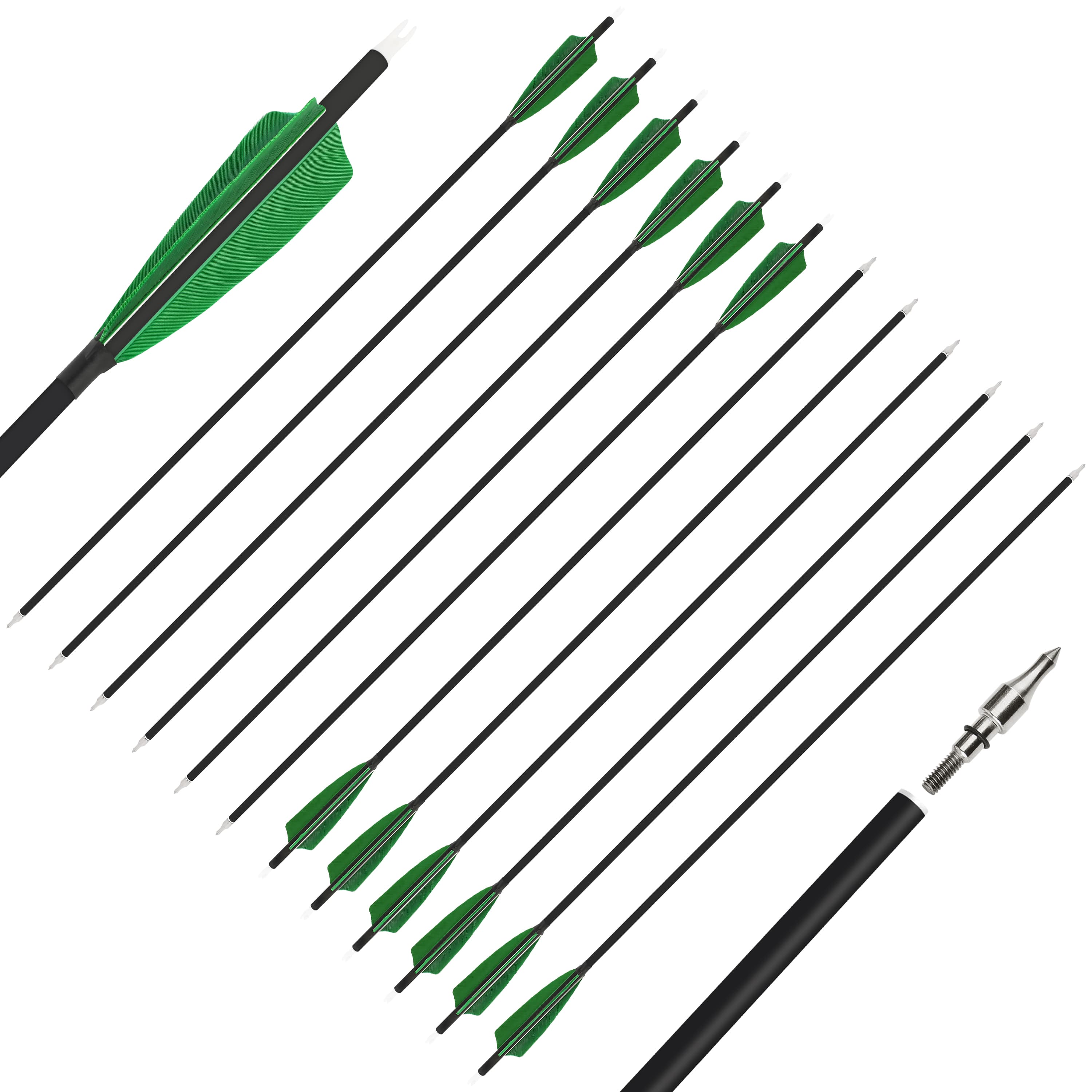 SHARROW Feather Fletched Arrows for Recurve Bow Spine 500 (12 Pack)-CHN Archery