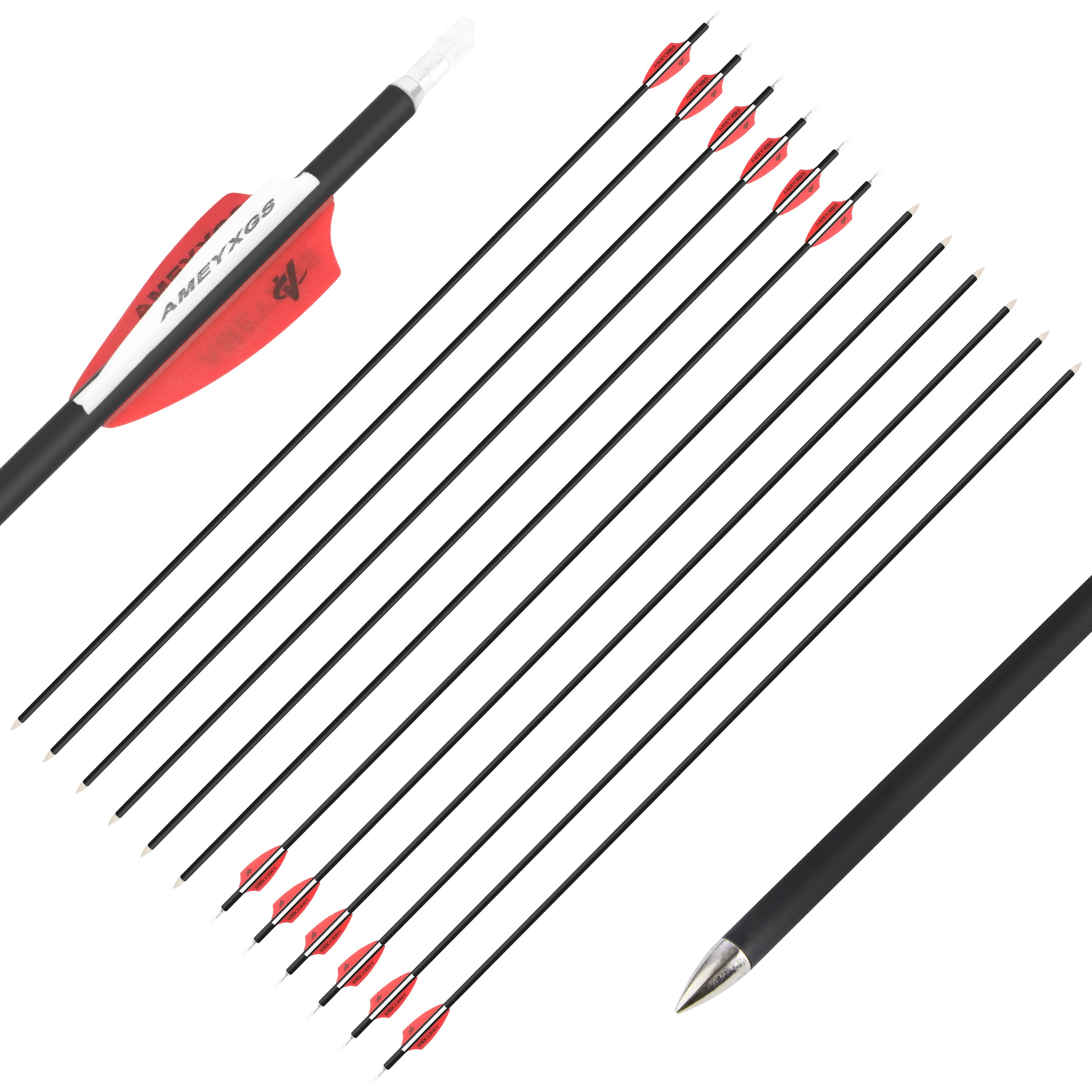 AMEYXGS 31" 4.2mm/.166" 1000 Spine Target Practice Arrows (12 Pack)-CHN Archery