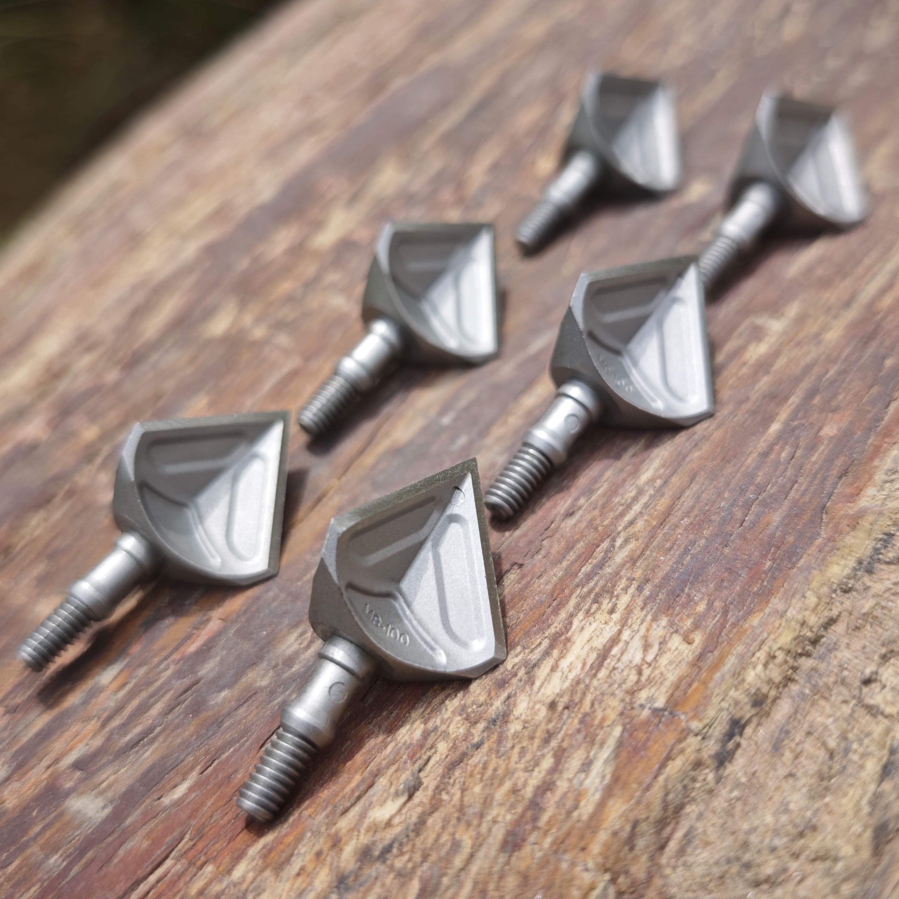 Screw-in 100Gr Broadhead Stainless Steel Hunting Arrowheads Tips