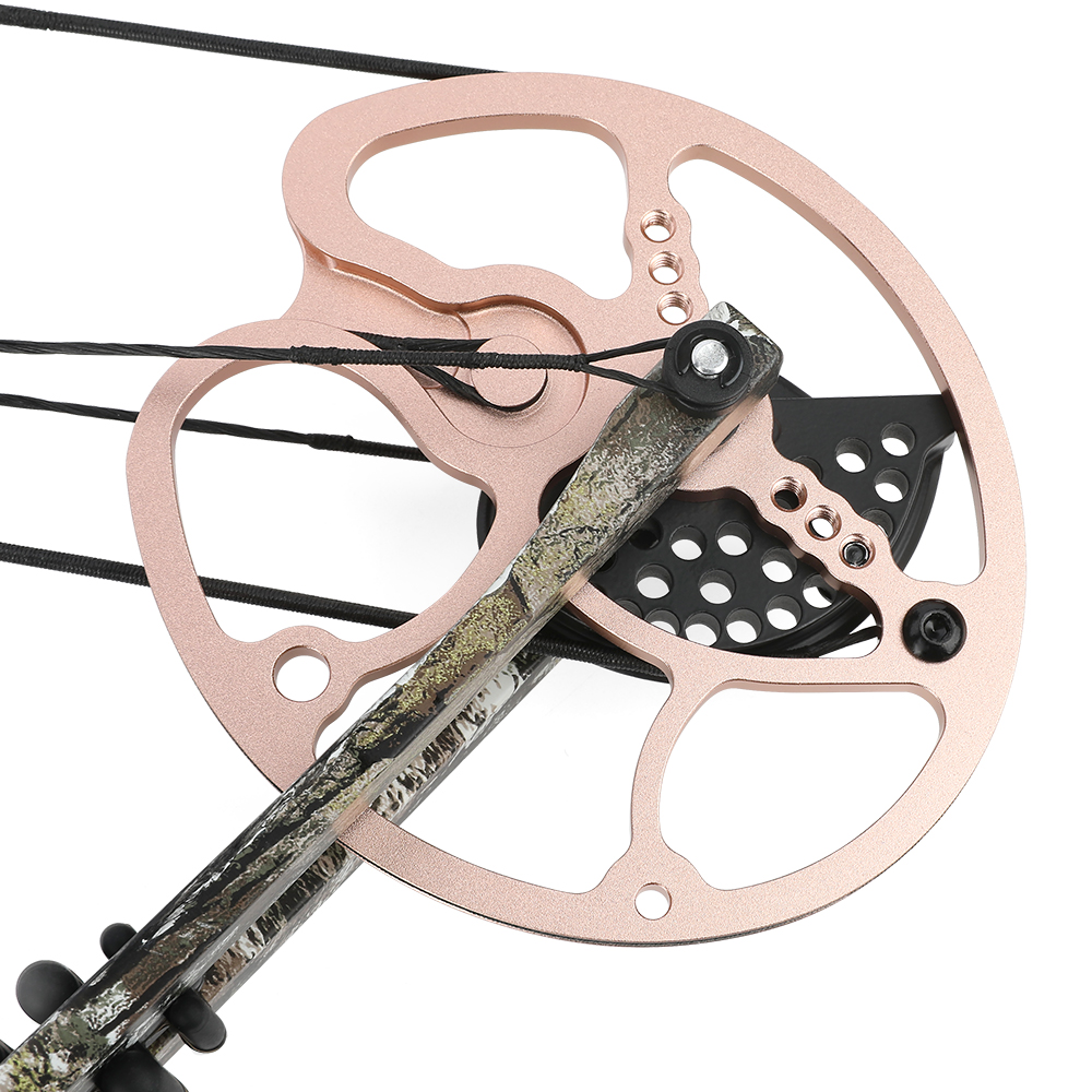Archery 0-70lbs Compound Bow Set Shooting Hunting