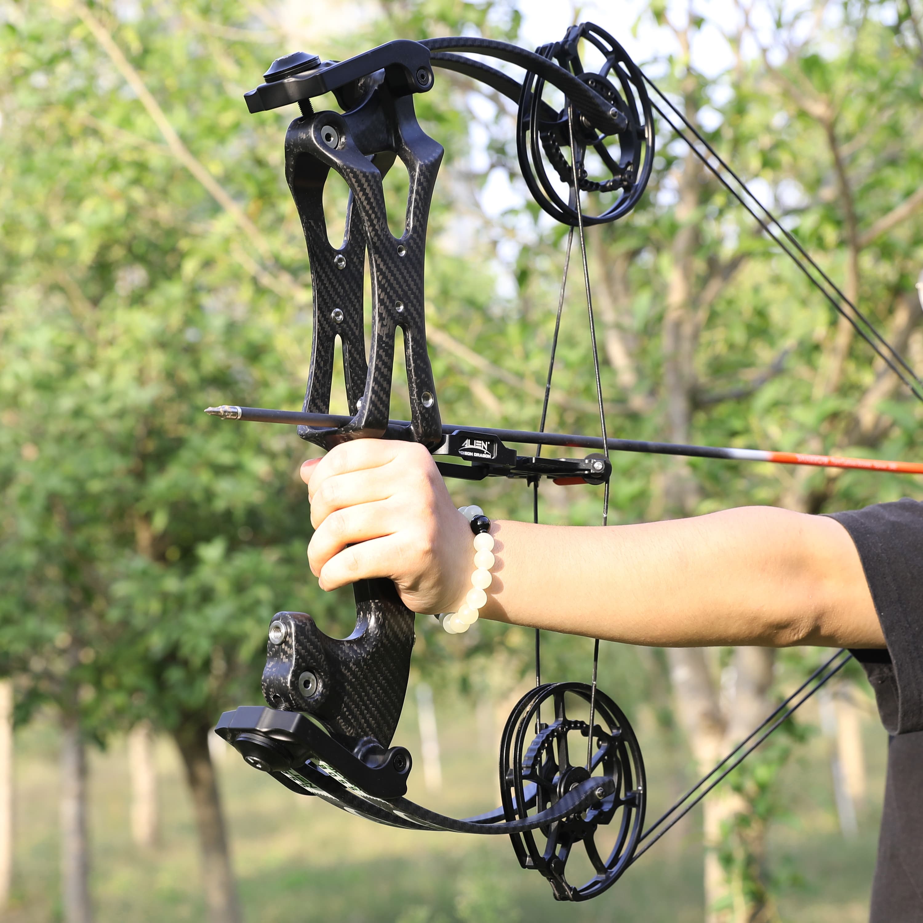 ALIEN Short Axis Ball Bearing Bow Compound Bow For Small Game CHN Archery   4 (1) 12 