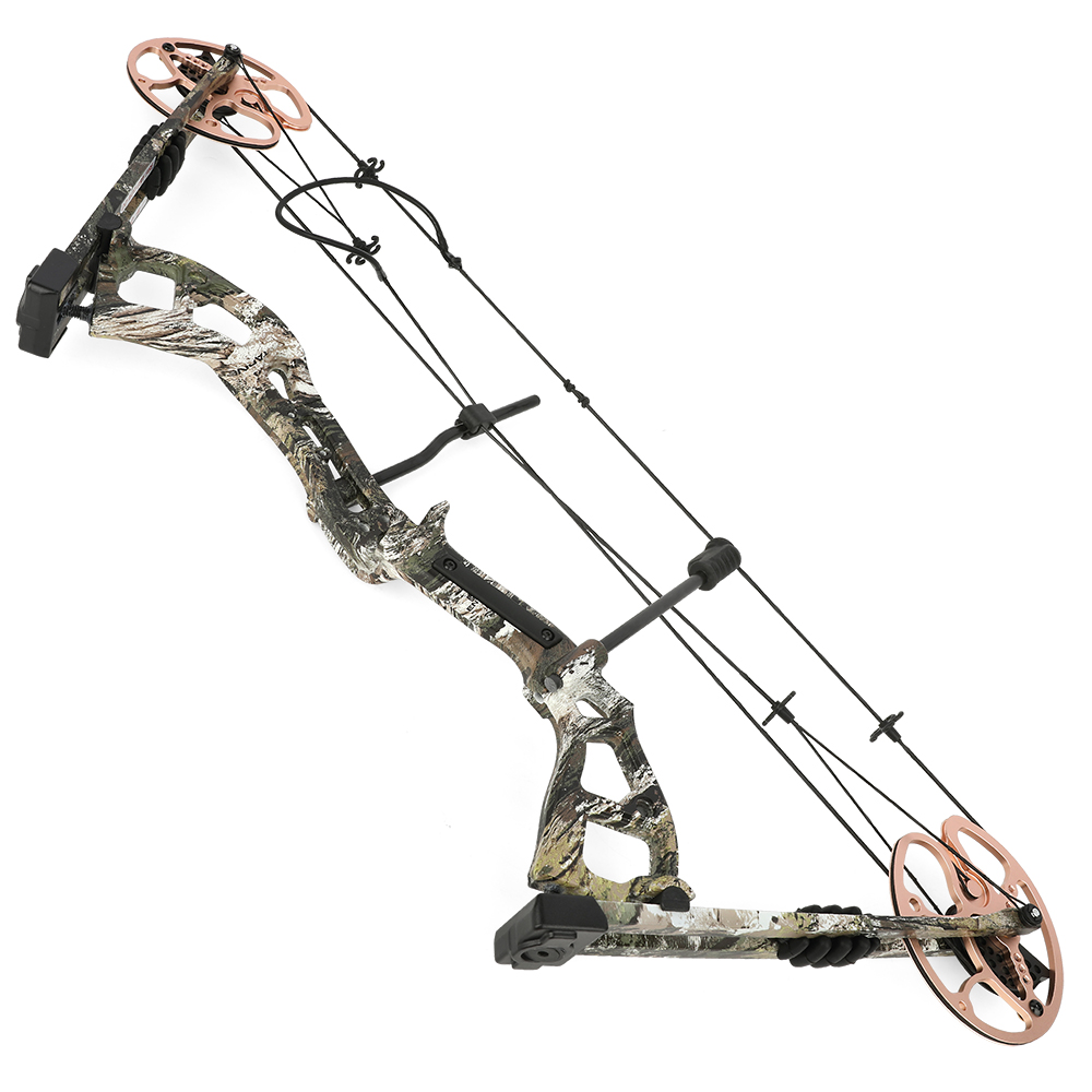 Archery 0-70lbs Compound Bow Set Shooting Hunting