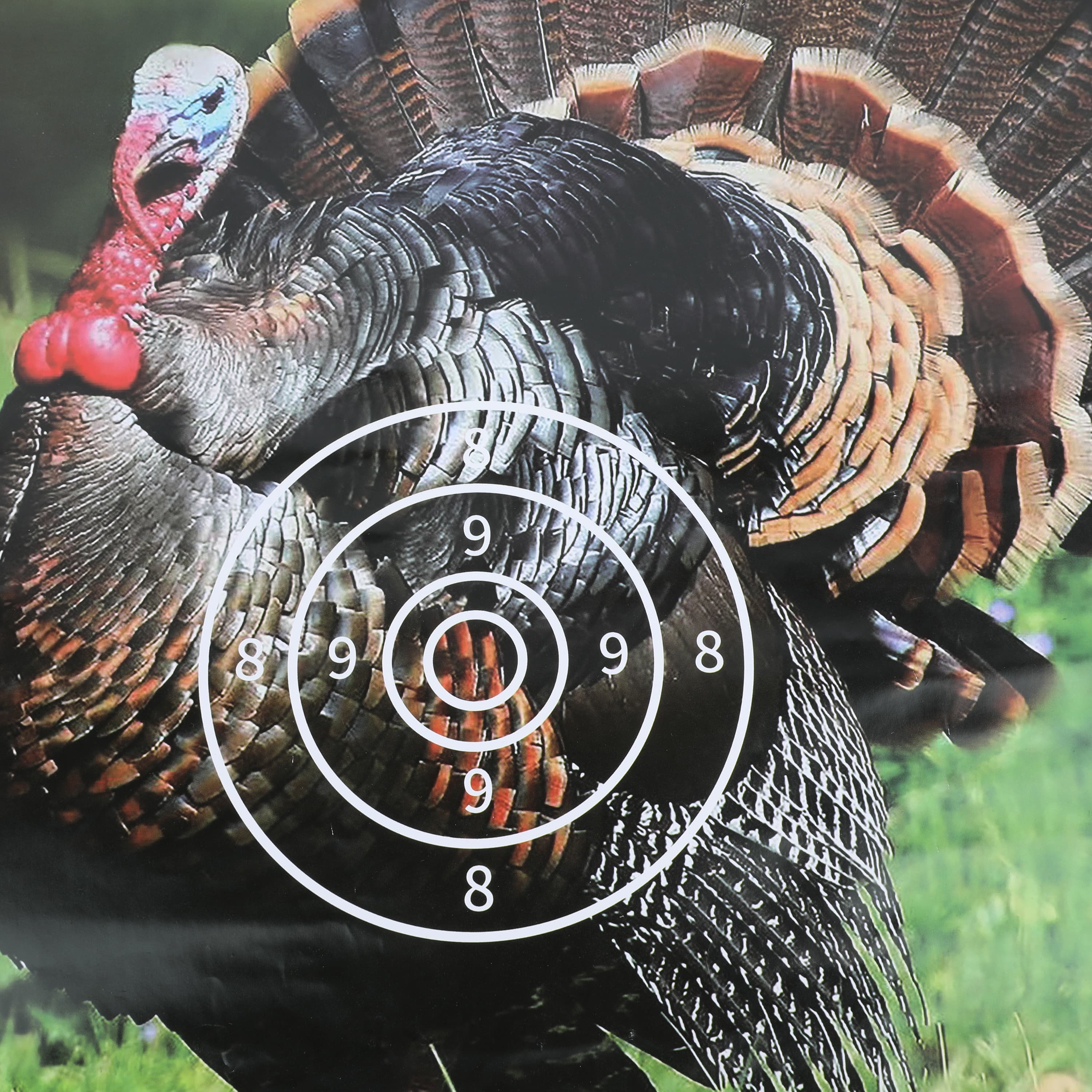 Turkey Archery Target Faces Copperplate Paper Targets 40cm 60cm (100 Pack)
