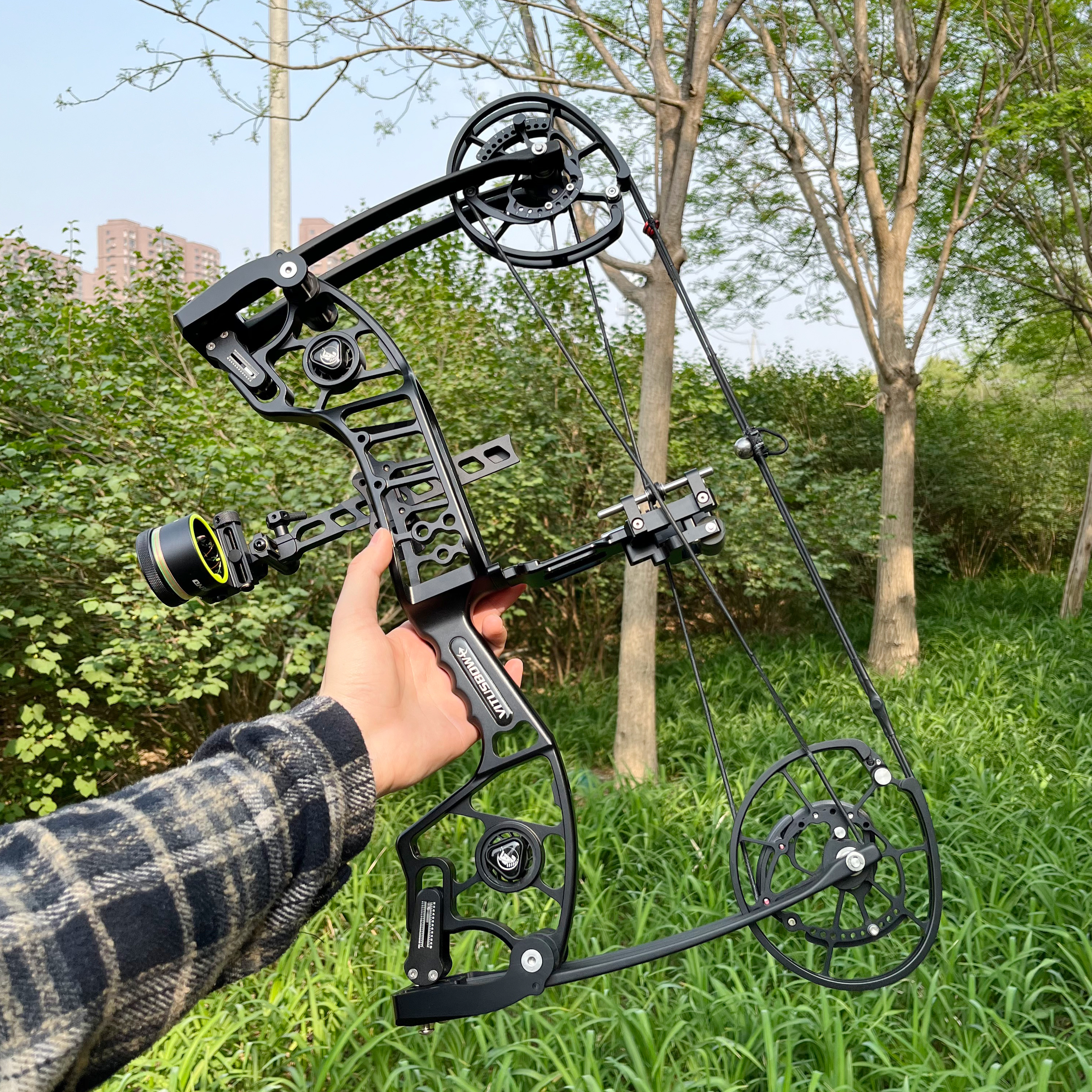 Dual Use Compound Bow 30-80lbs Adjustable Steel Ball & Arrow Bow