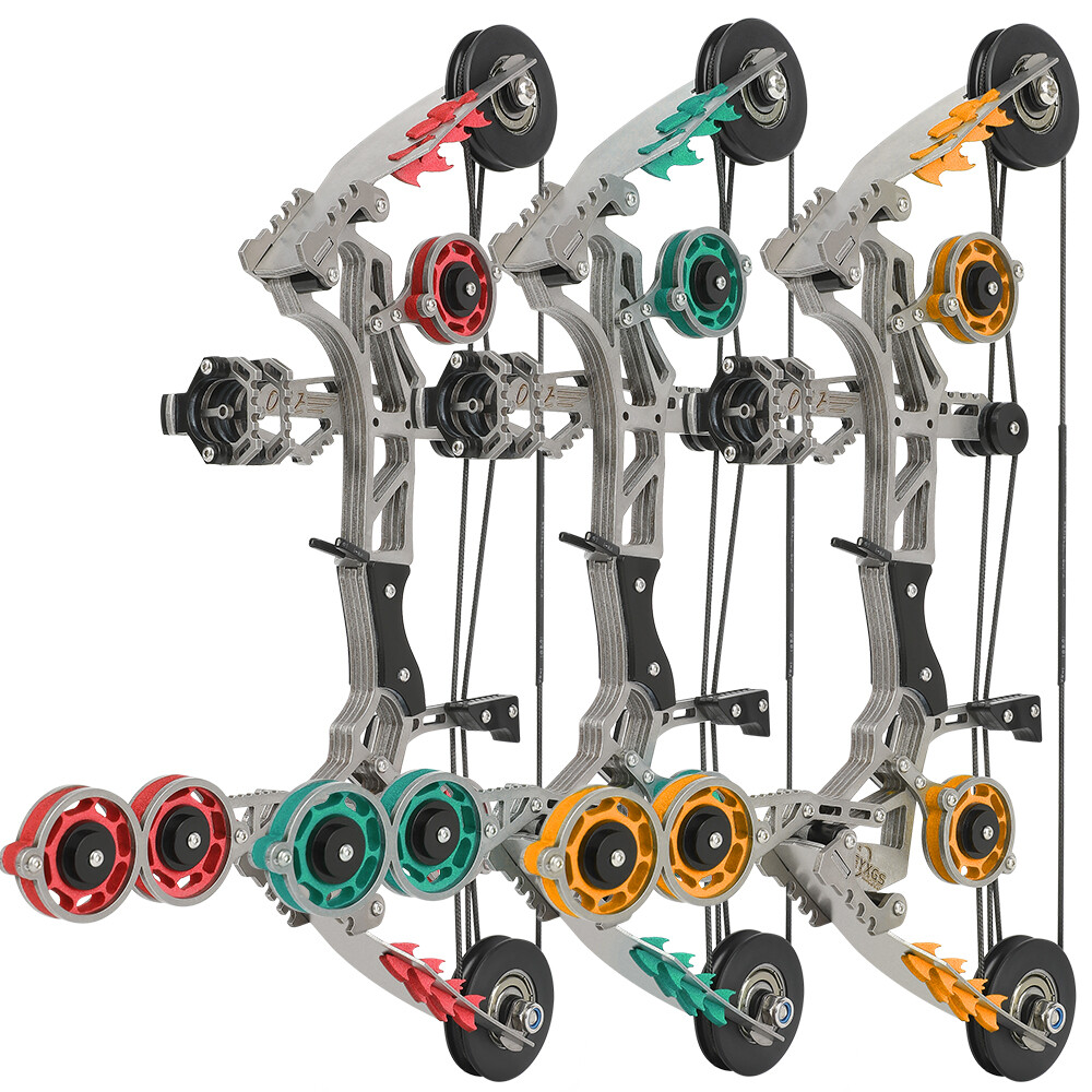 Mini Compound Bow 10 lbs Archery Set for Beginners Youth