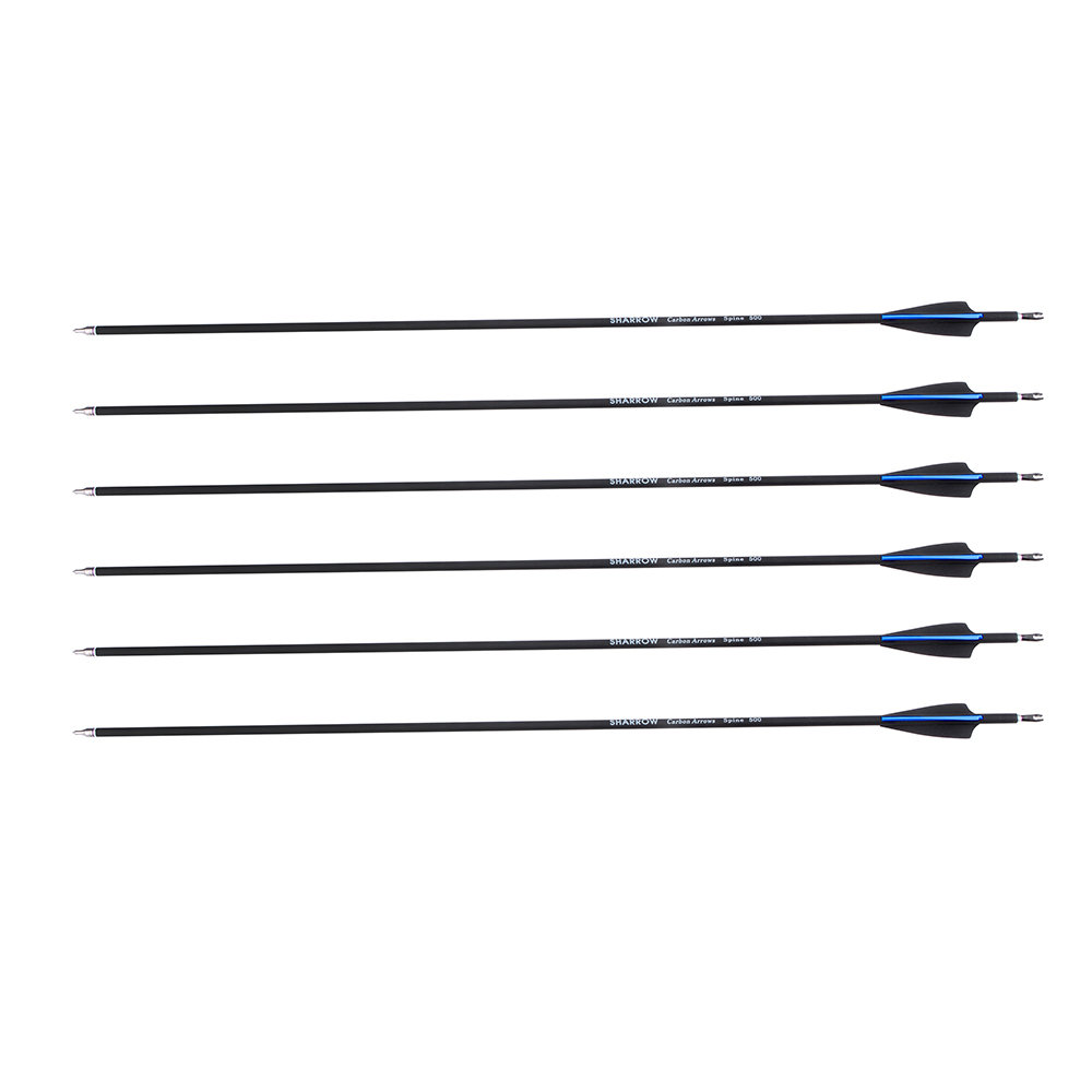 Mixed Carbon Arrows 12pcs with Rubber Feathers and 6 Yellow Jade Arrowheads