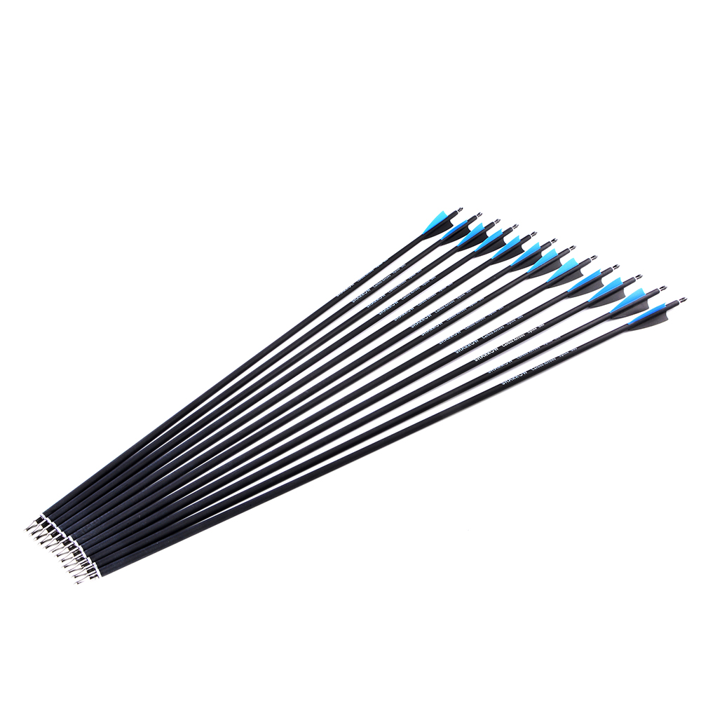 Mixed Carbon Arrows 12pcs with Rubber Feathers and 6 Yellow Jade Arrowheads