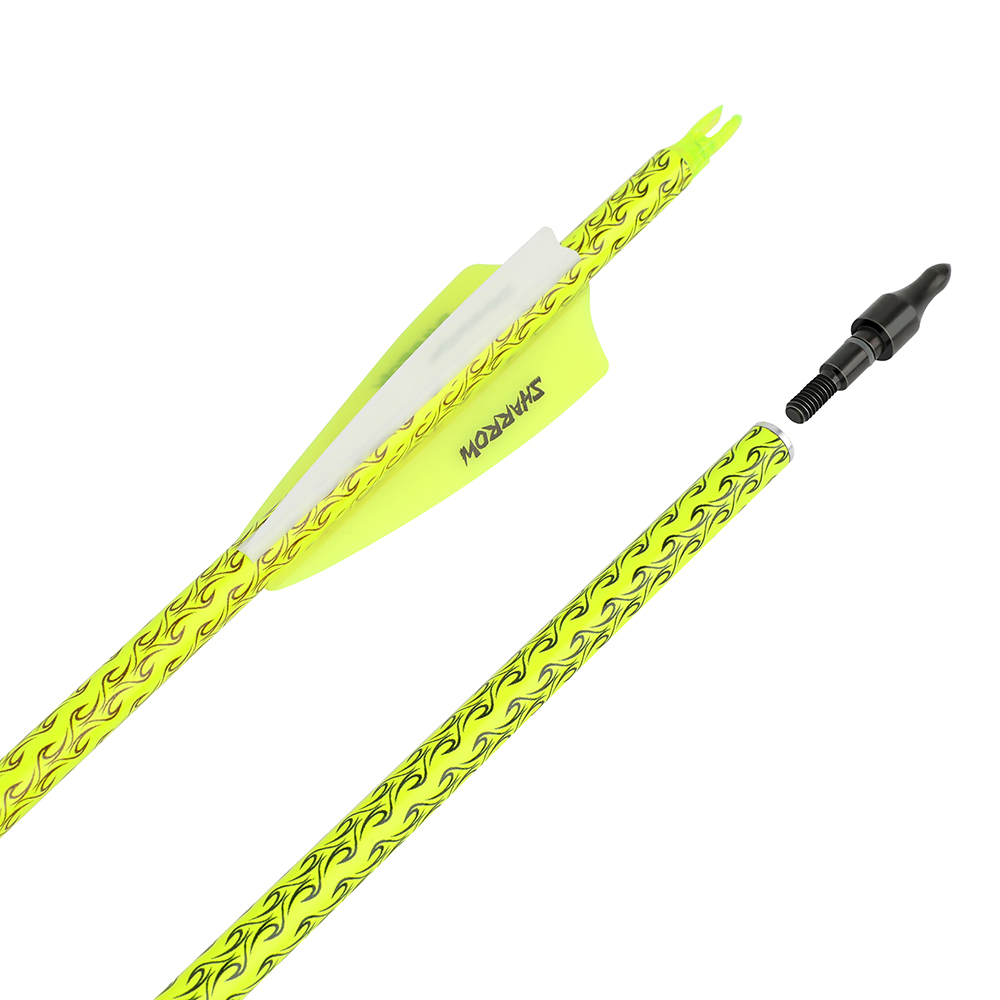 Archery Arrows 12pcs 30 in 500 Spine Practice Carbon Set