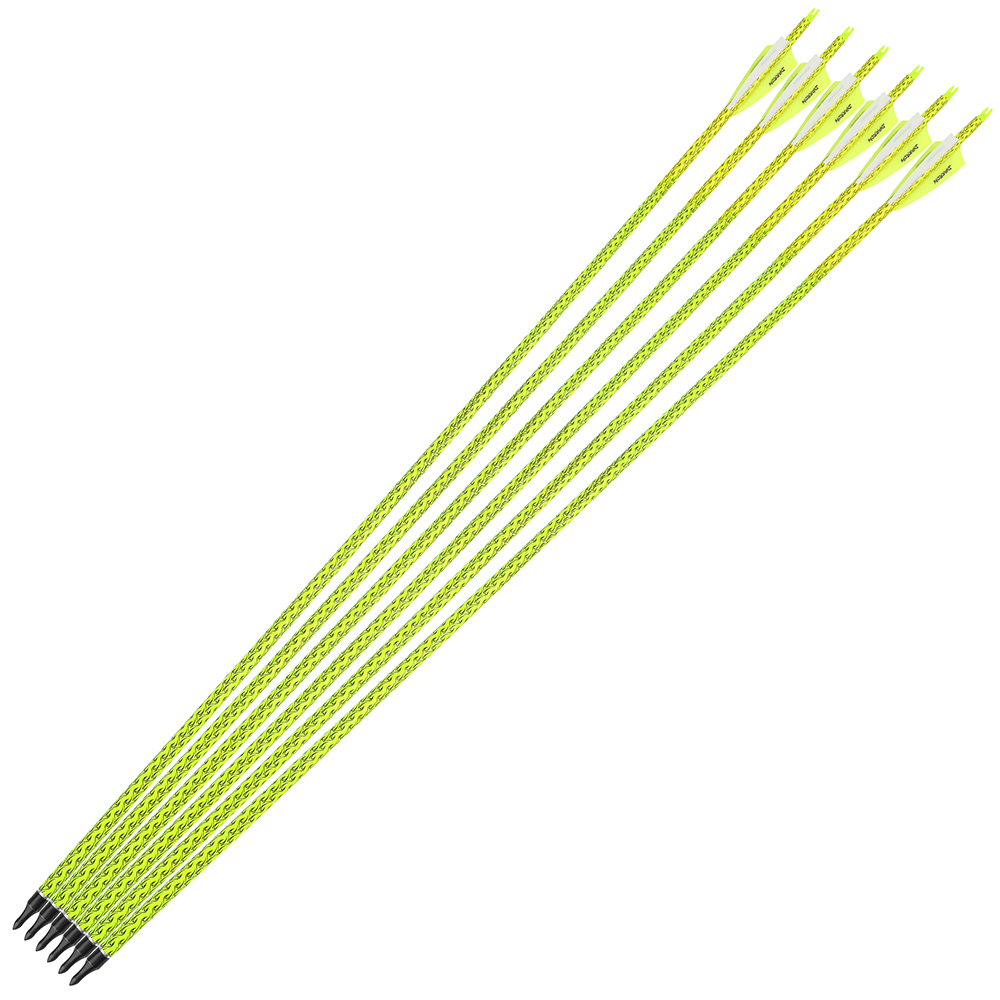 Archery Arrows 12pcs 30 in 500 Spine Practice Carbon Set