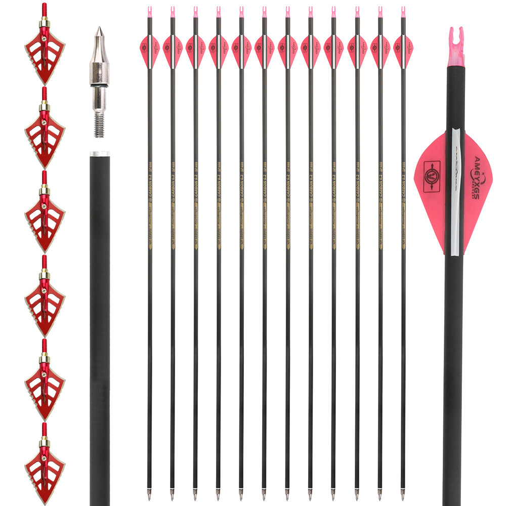 Archery Arrows 12pcs 30 in 500 Spine Carbon Training Set