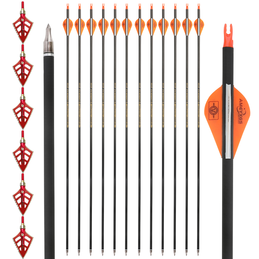 Archery Arrows 12pcs 30 in 500 Spine Carbon Training Set