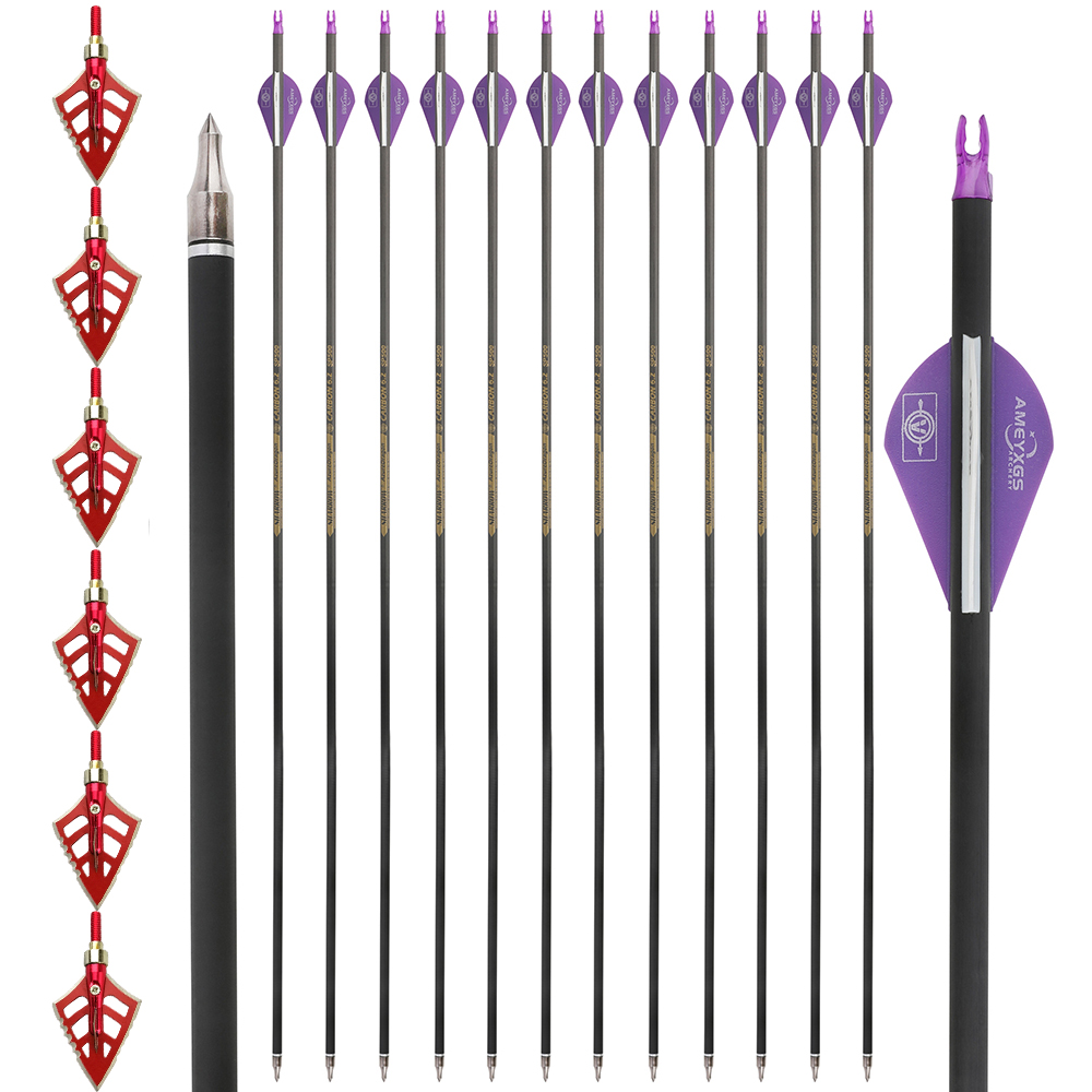 Archery Arrows 12pcs 30 in 500 Spine Carbon Training Set