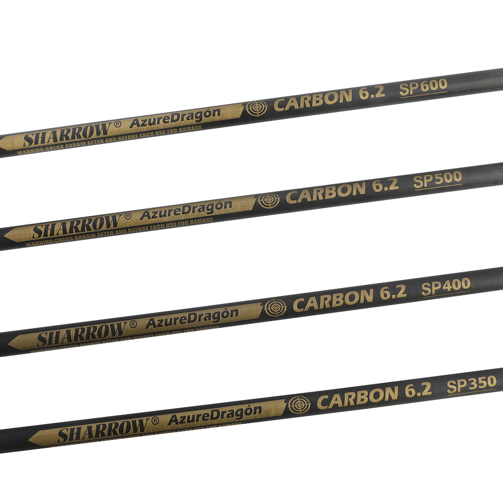Archery Arrows 12pcs 30 in 500 Spine Carbon Training Set