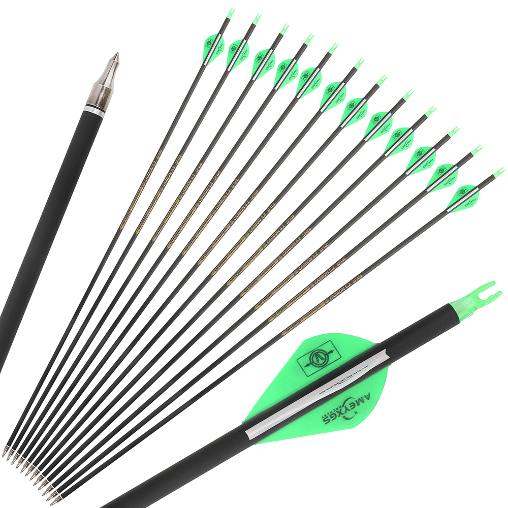 Archery Arrows 12pcs 30 in 500 Spine Carbon Training Set