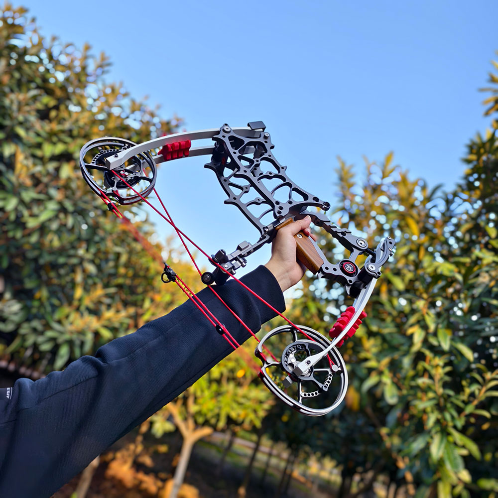 Steel Ball Compound Bow Hunting 40-65 lbs