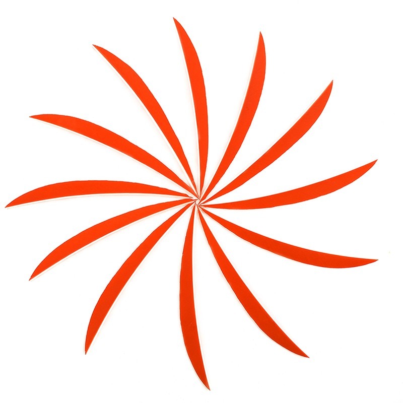 Turkey Arrow Feathers 5 Inch Natural Traditional Fletching  (50 Pack)