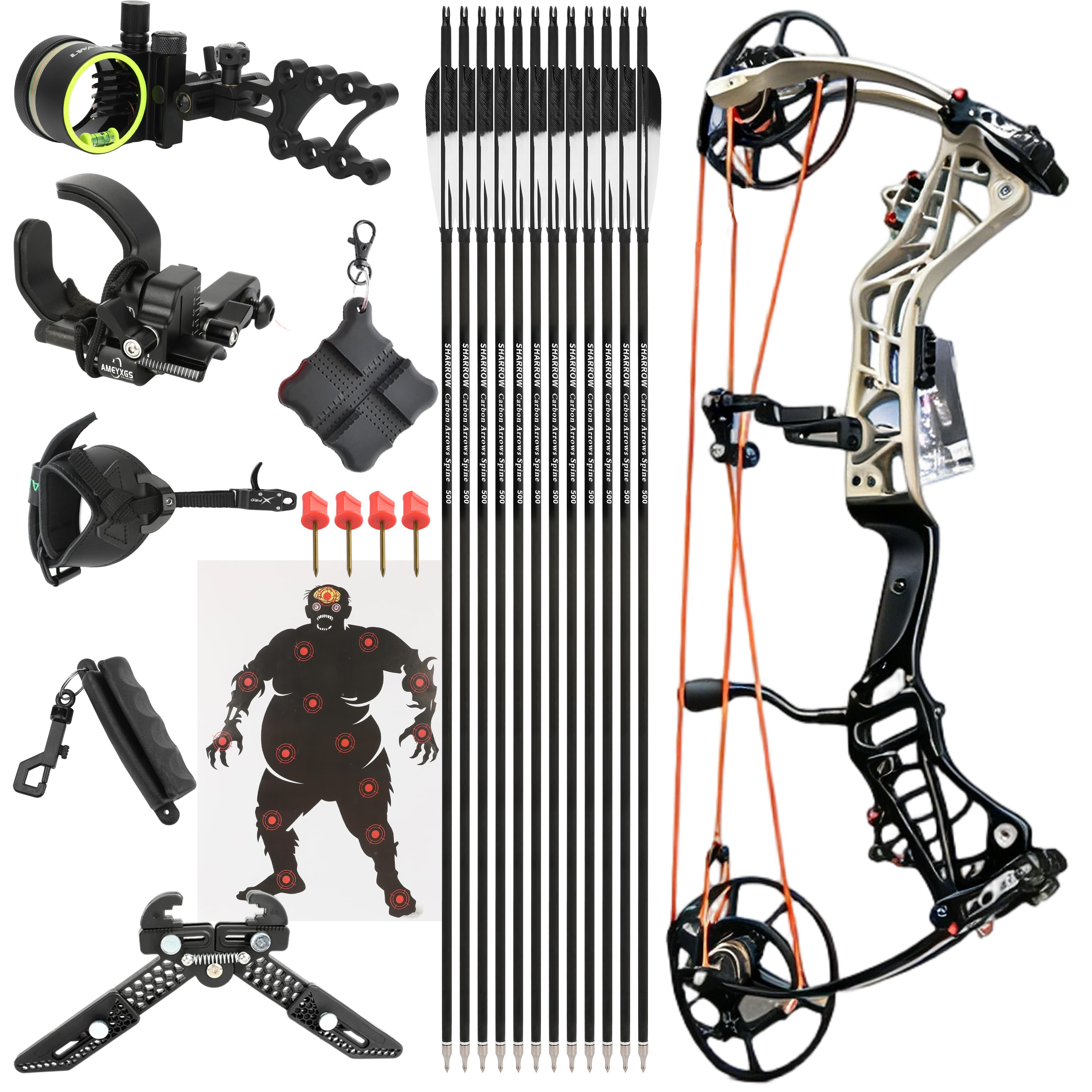 AGS 45-75lbs Compound Bow Hunting Kit Shooting Archery