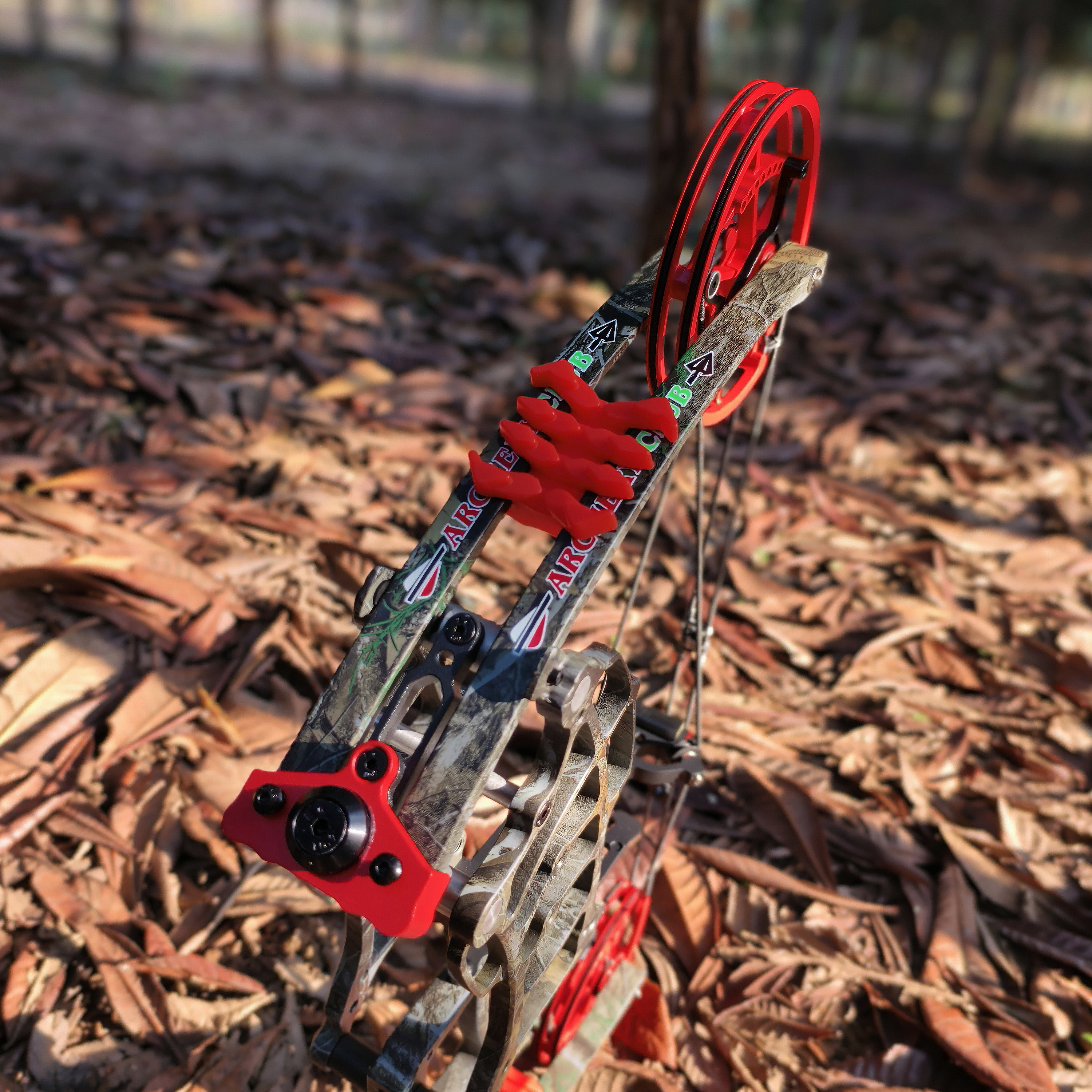 CHN Dual-use Compound Bow Ball Archery Hunting RH LH 30-70 lbs