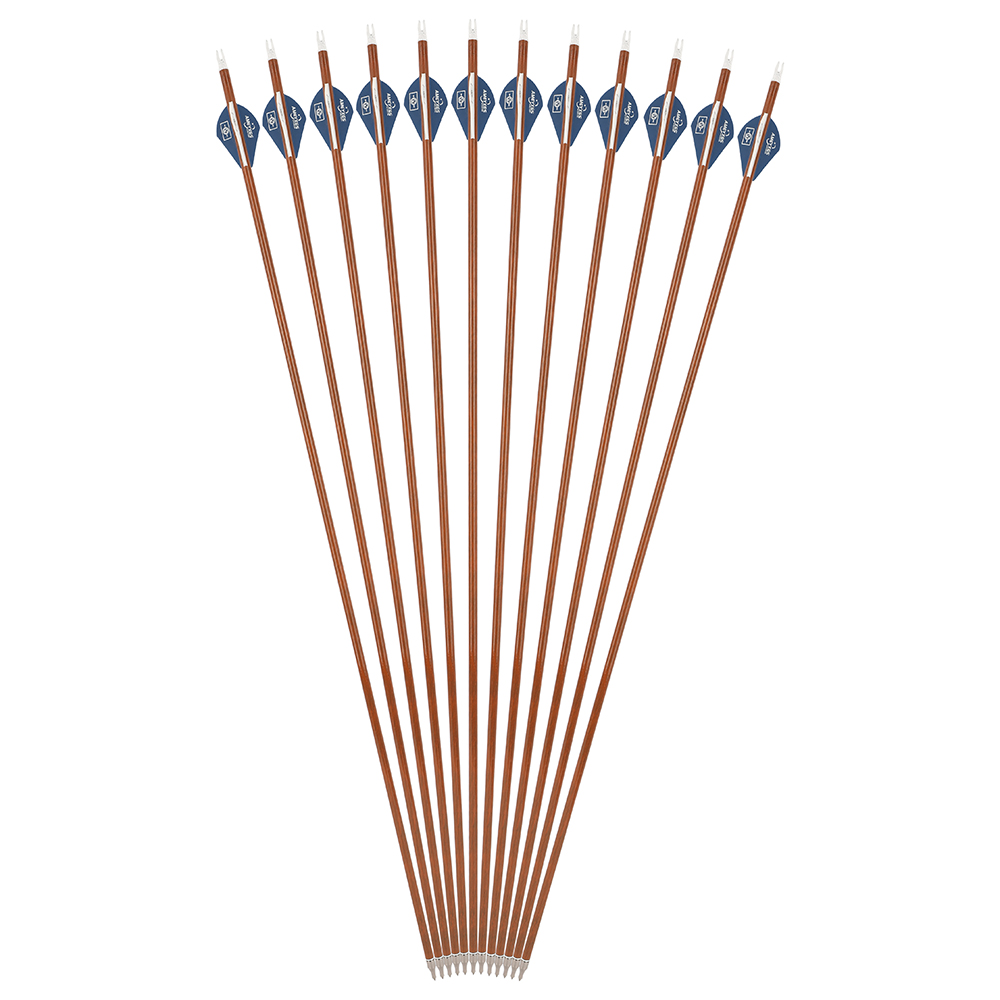 AMEYXGS 30" Archery Carbon Arrows for Compound Bow Spine 500 (12 Pack)